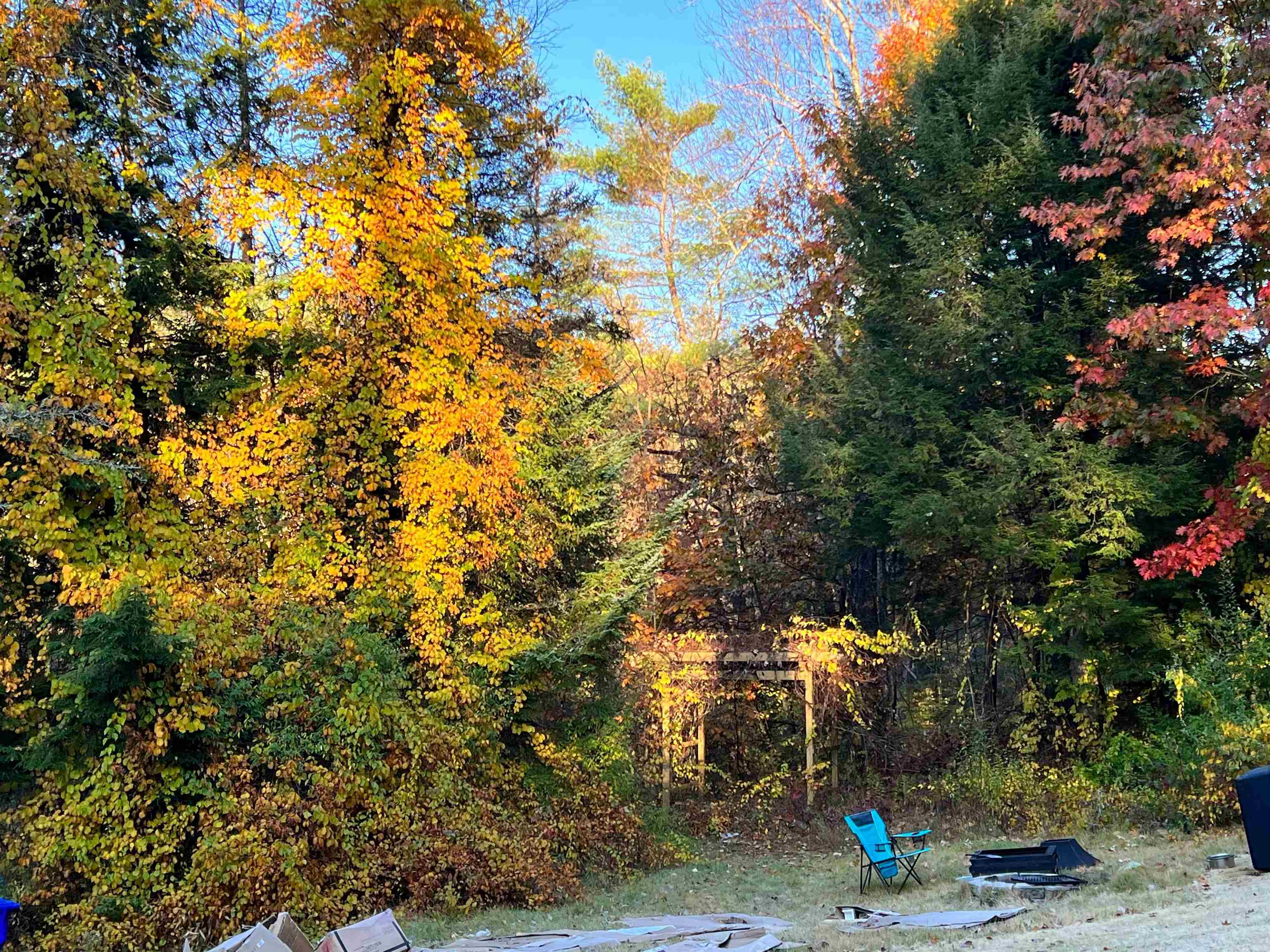 main property photo 39