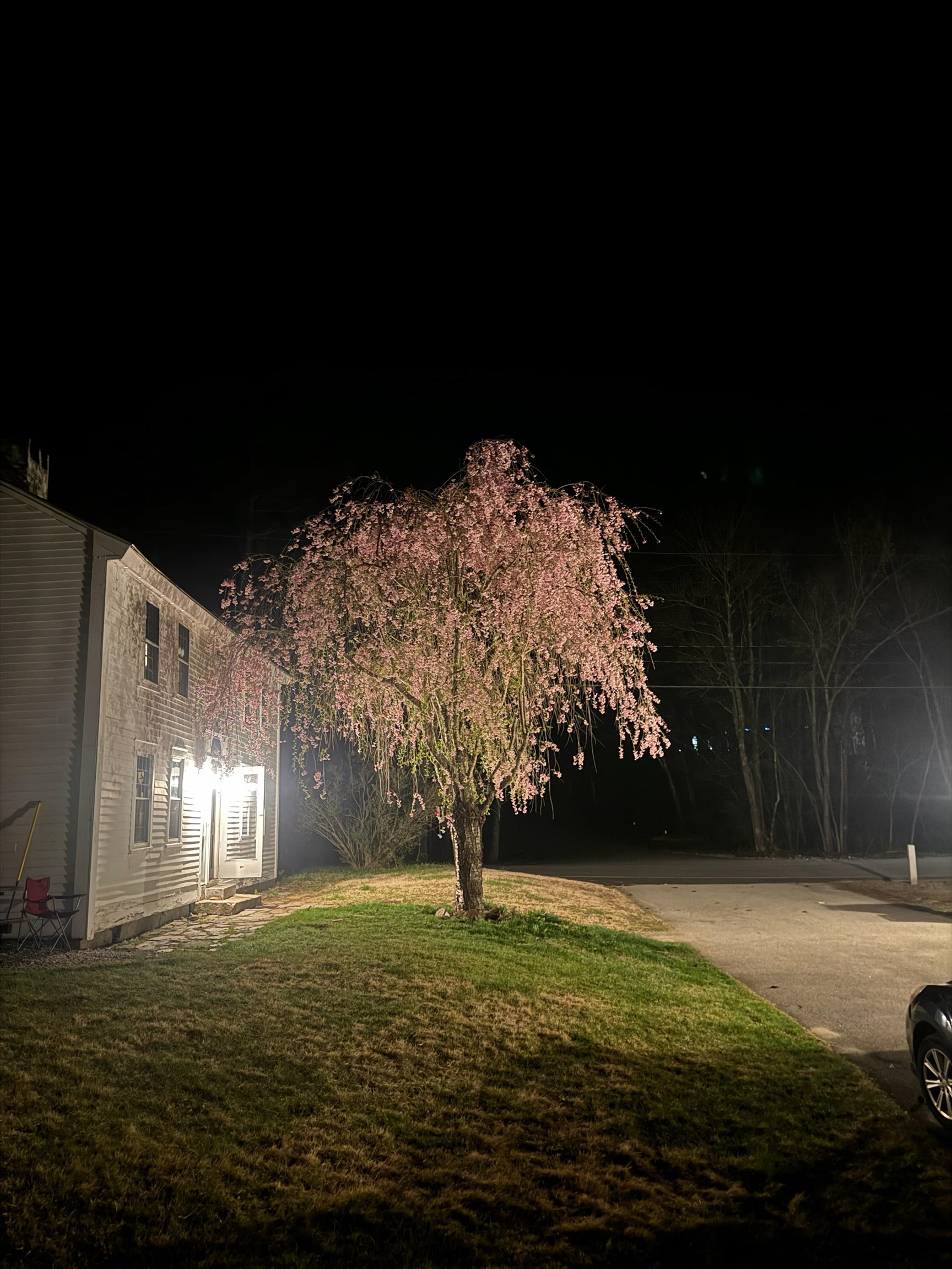 main property photo 52