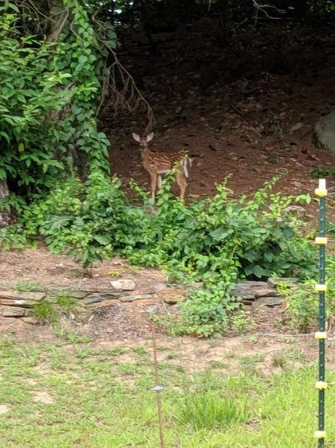 main property photo 53