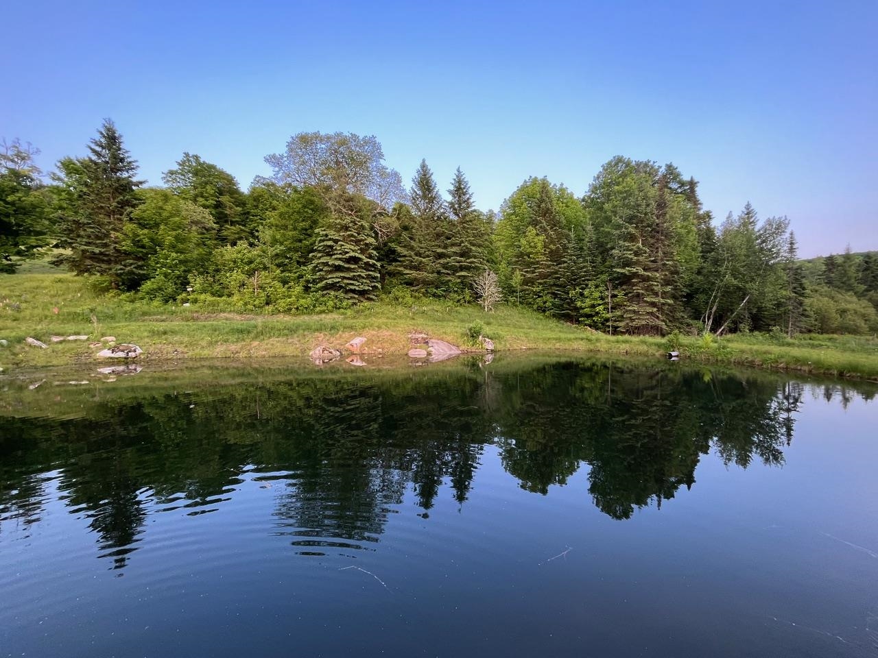 main property photo 47
