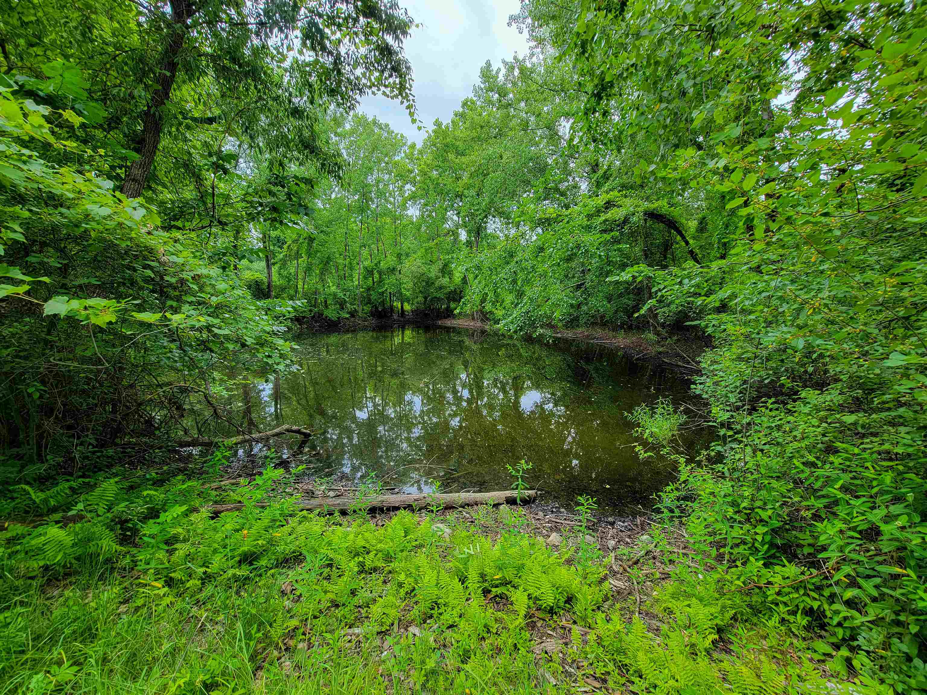 main property photo 11