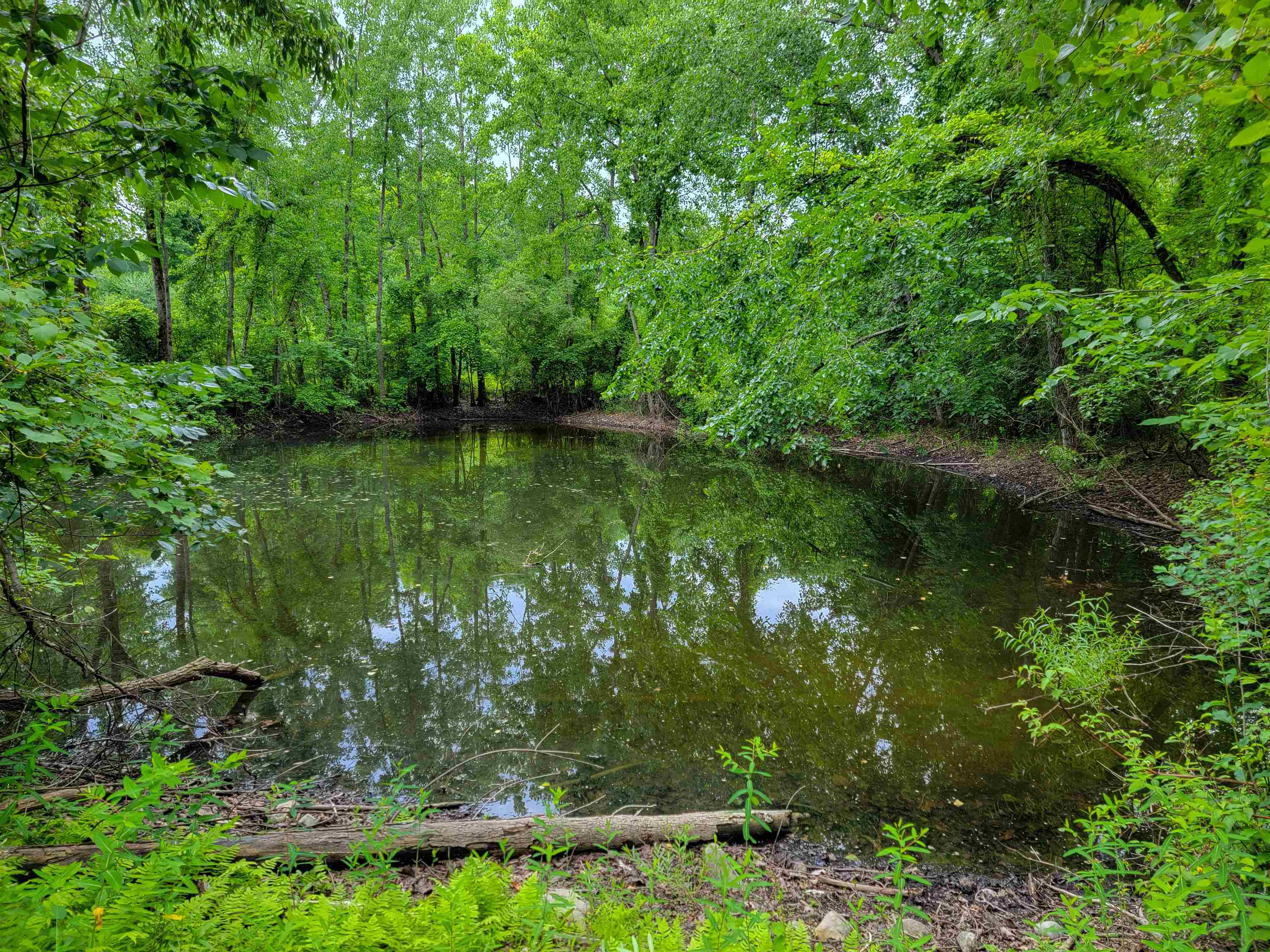 main property photo 21