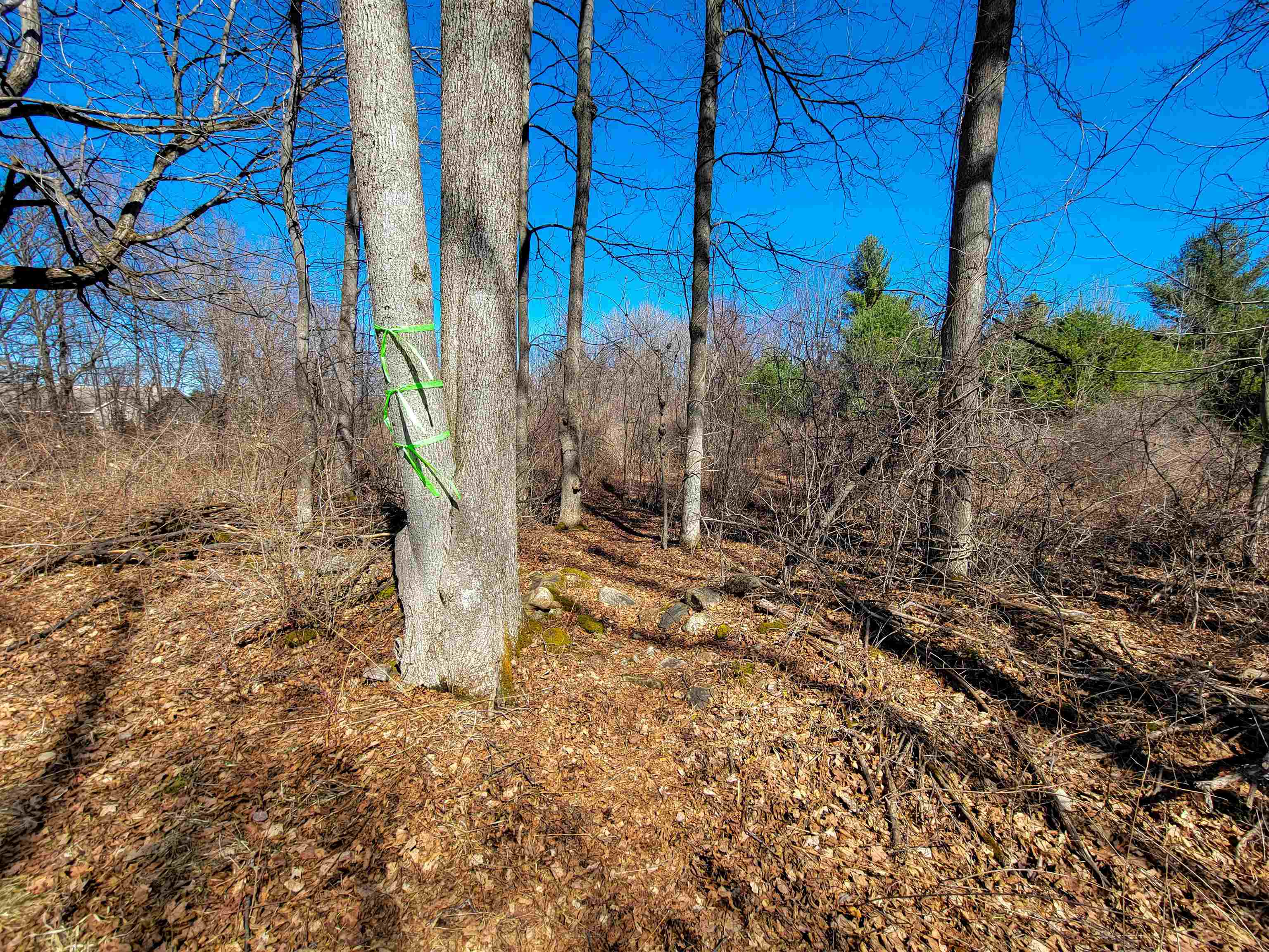 main property photo 26