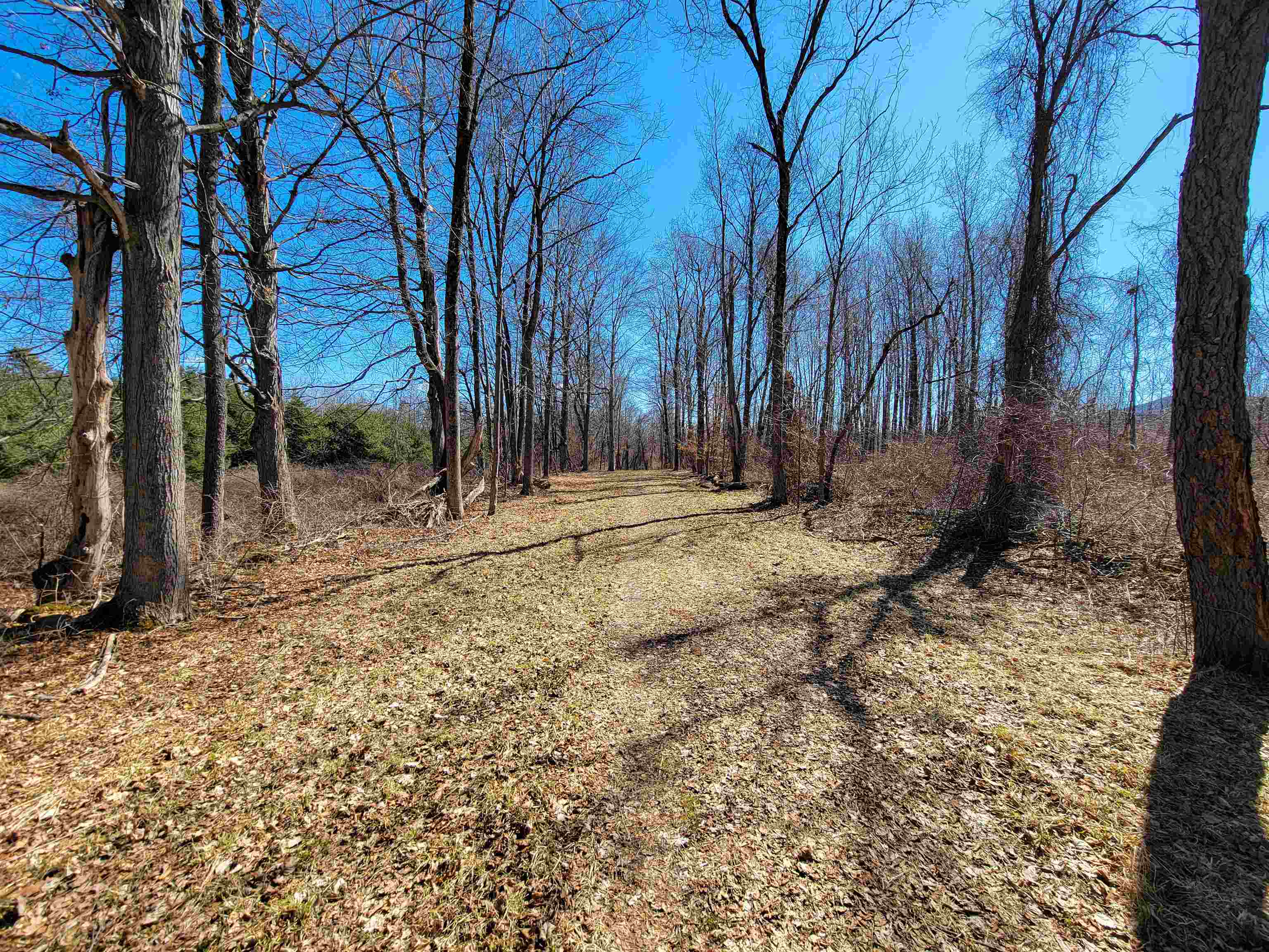 main property photo 27