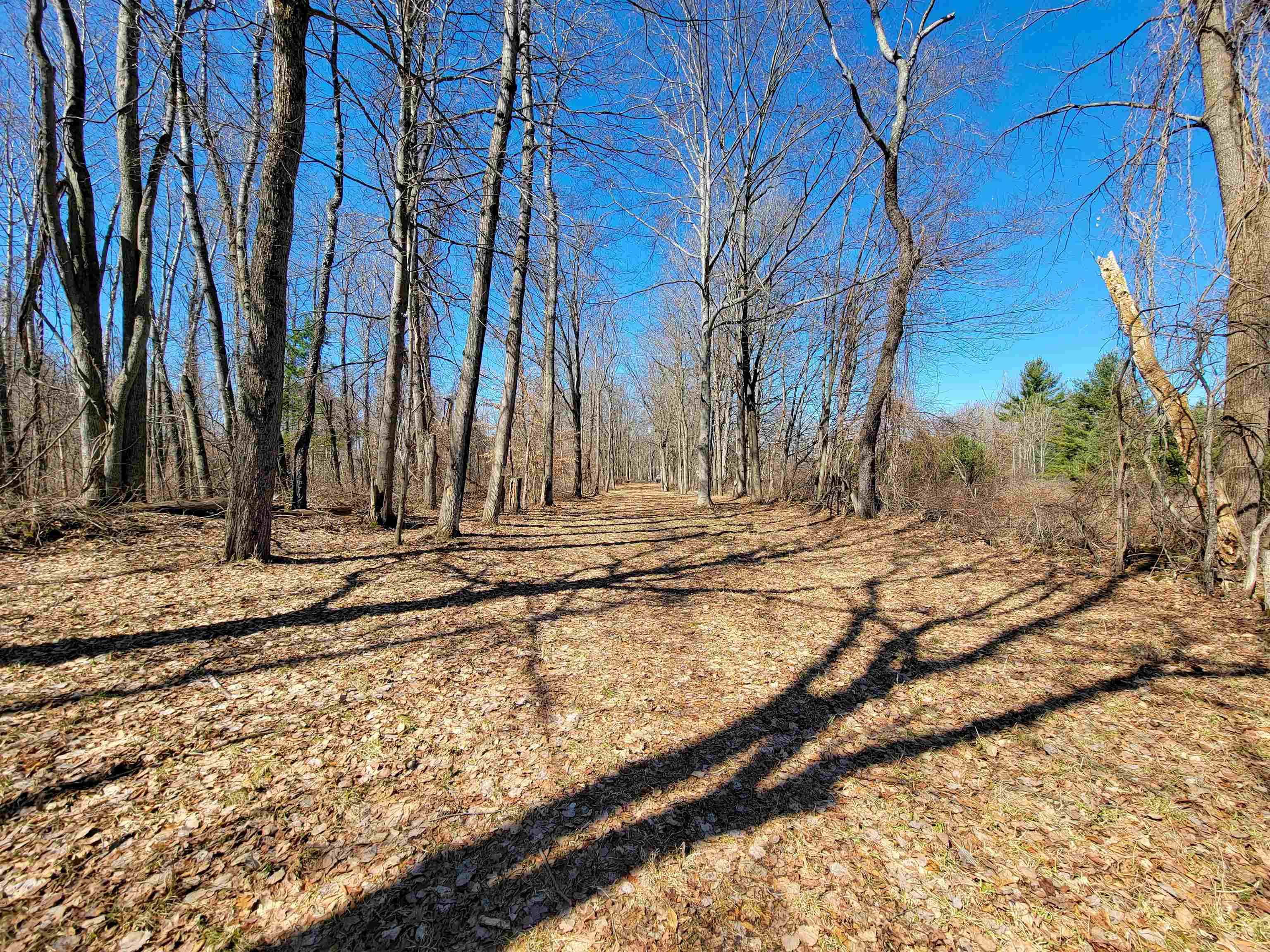 main property photo 31