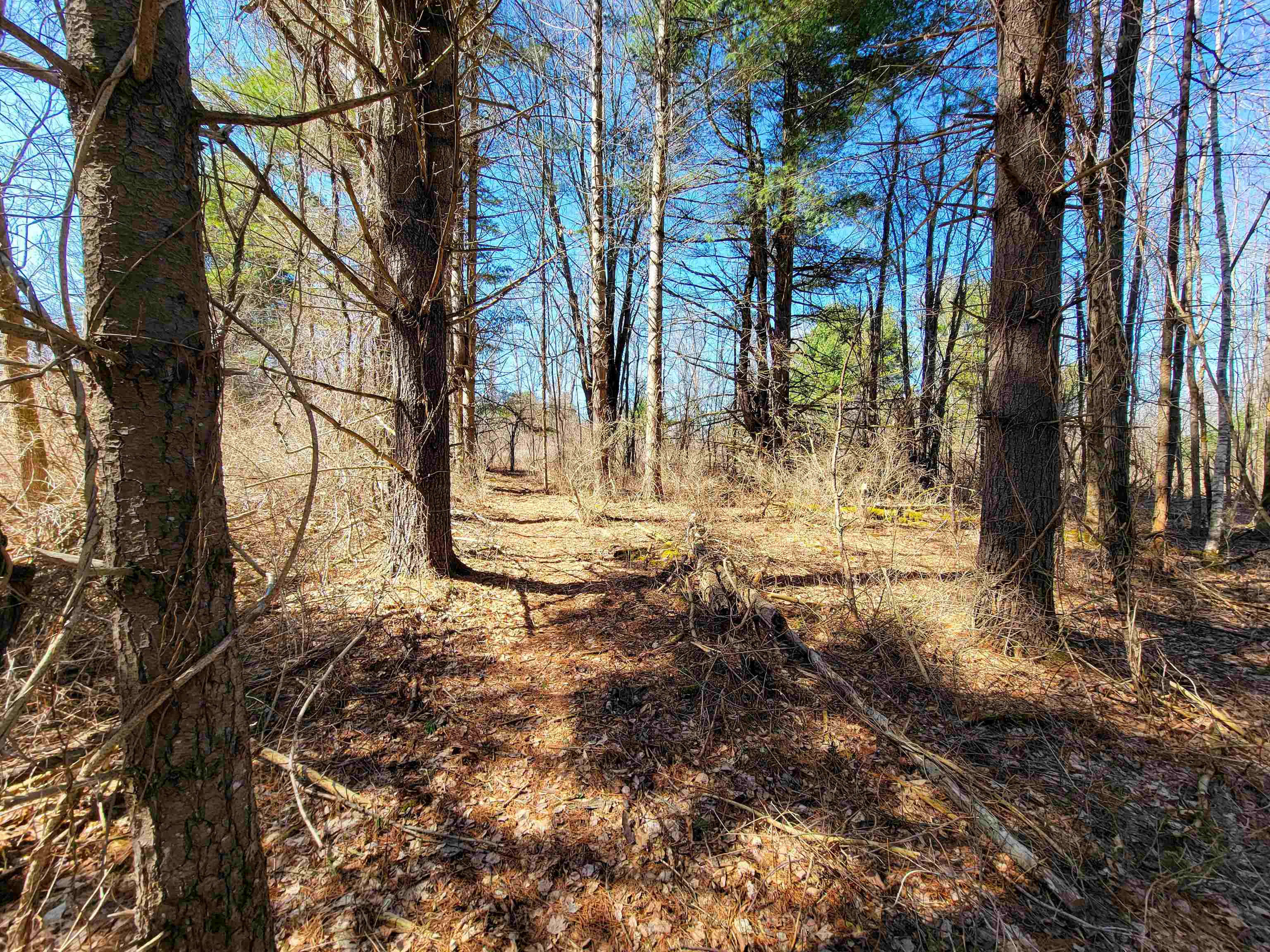 main property photo 41