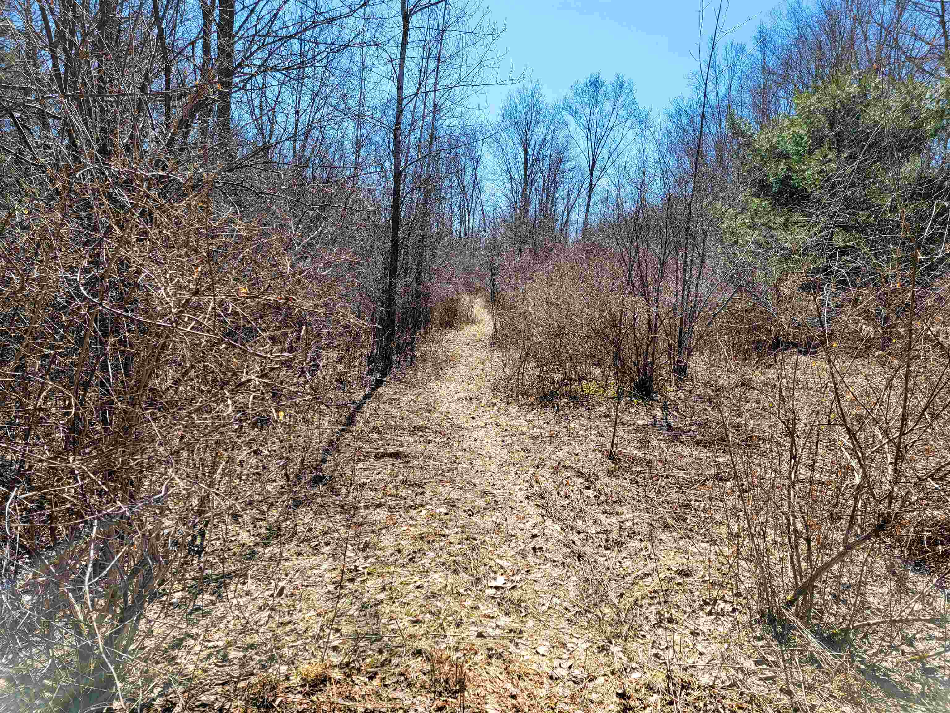 main property photo 43