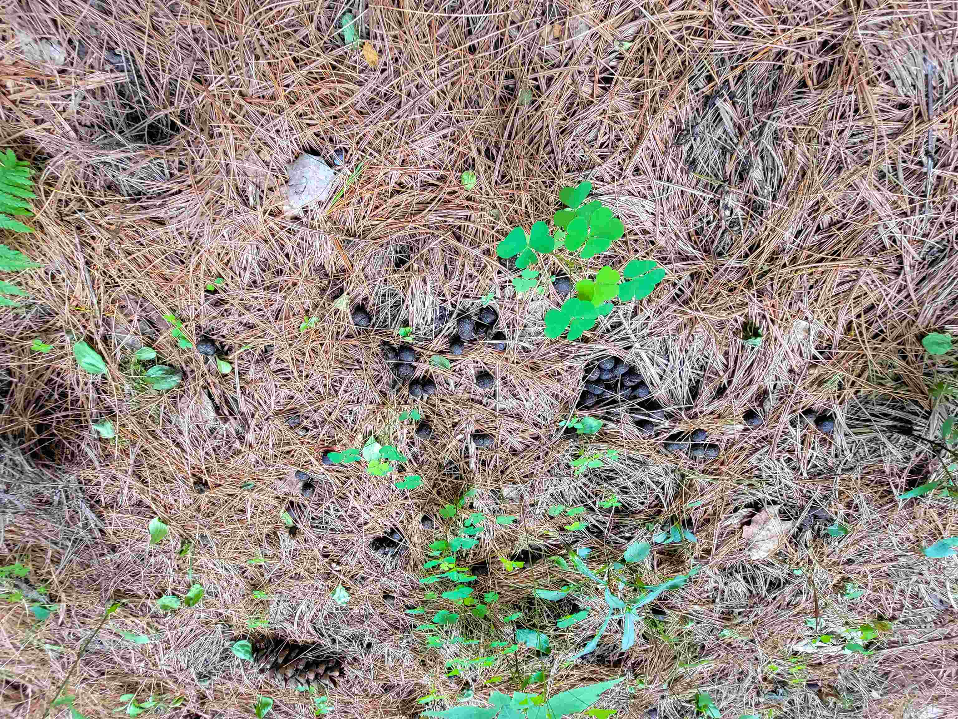 main property photo 45