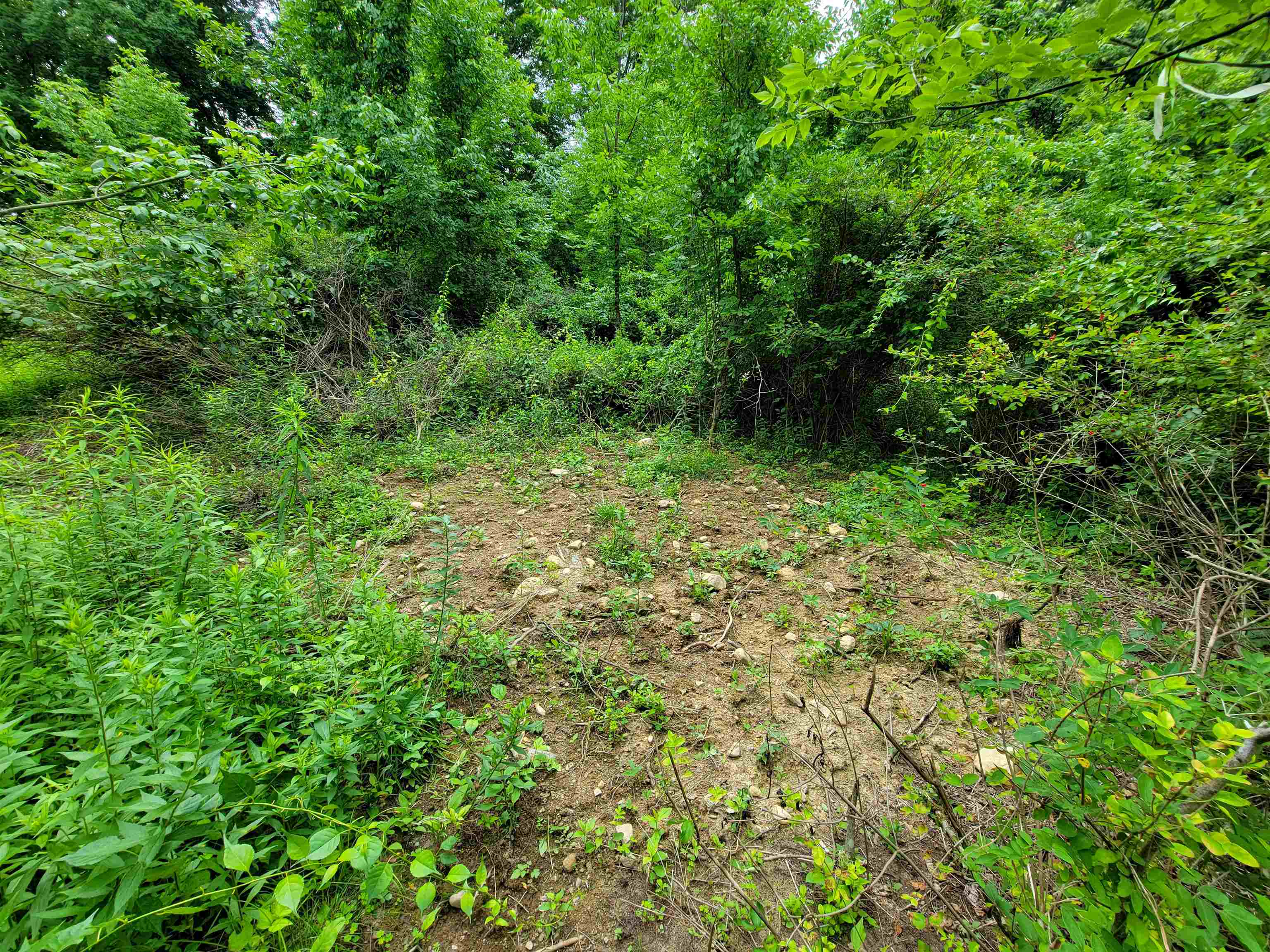main property photo 47
