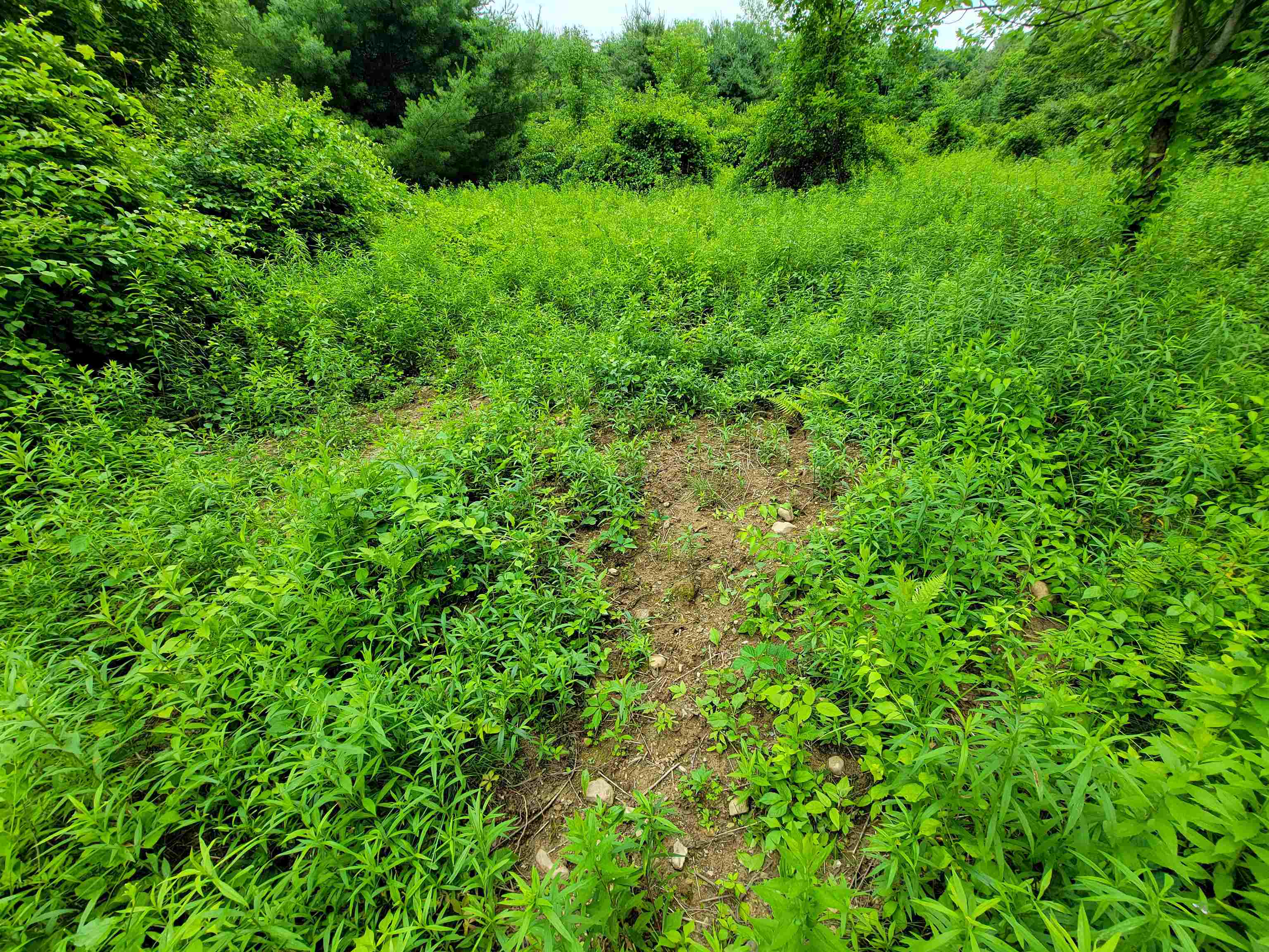 main property photo 52