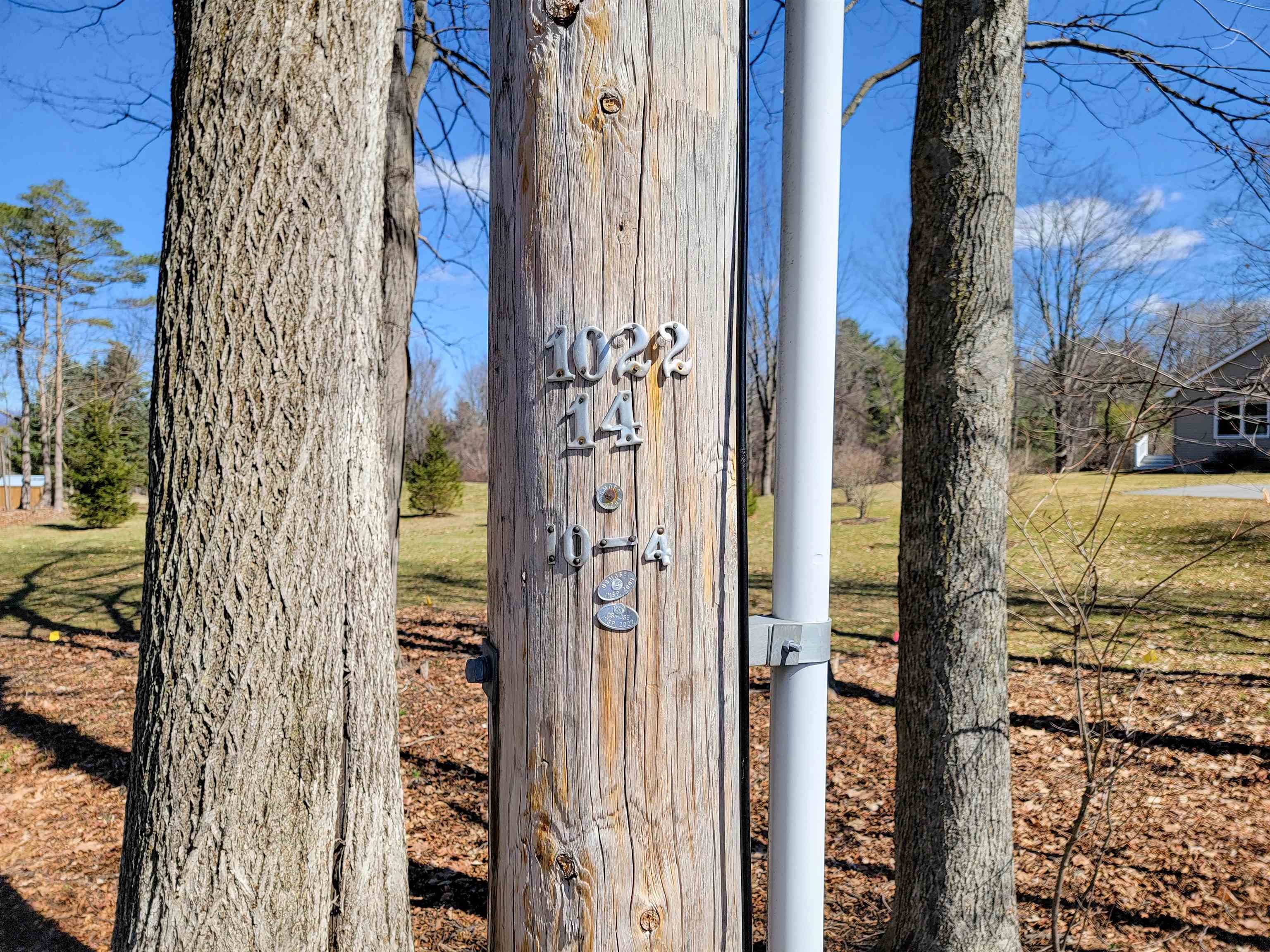 main property photo 59