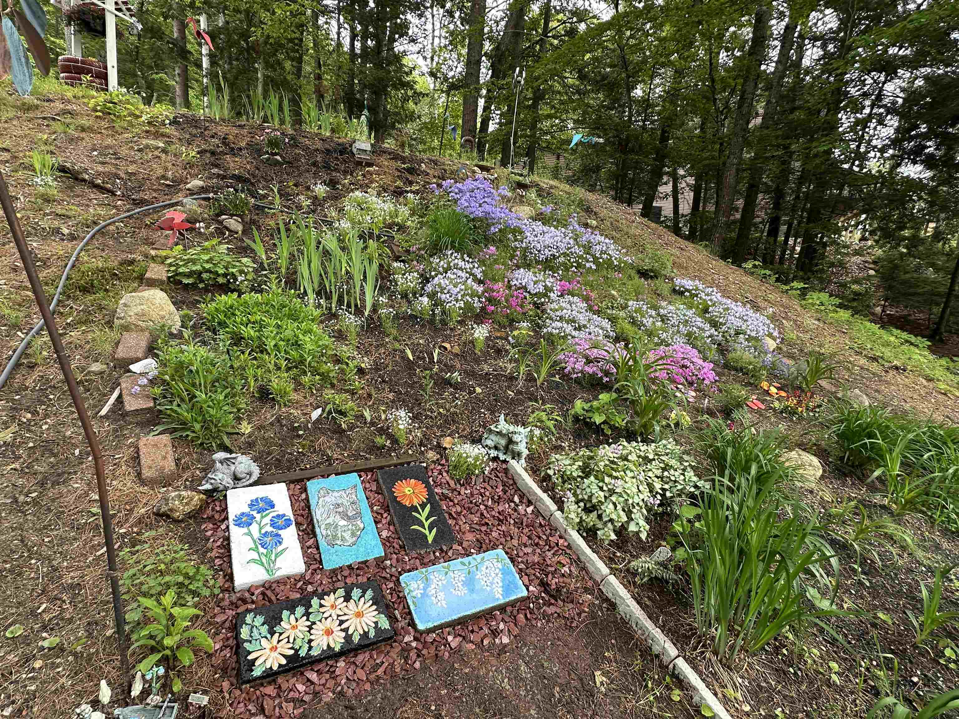 main property photo 55