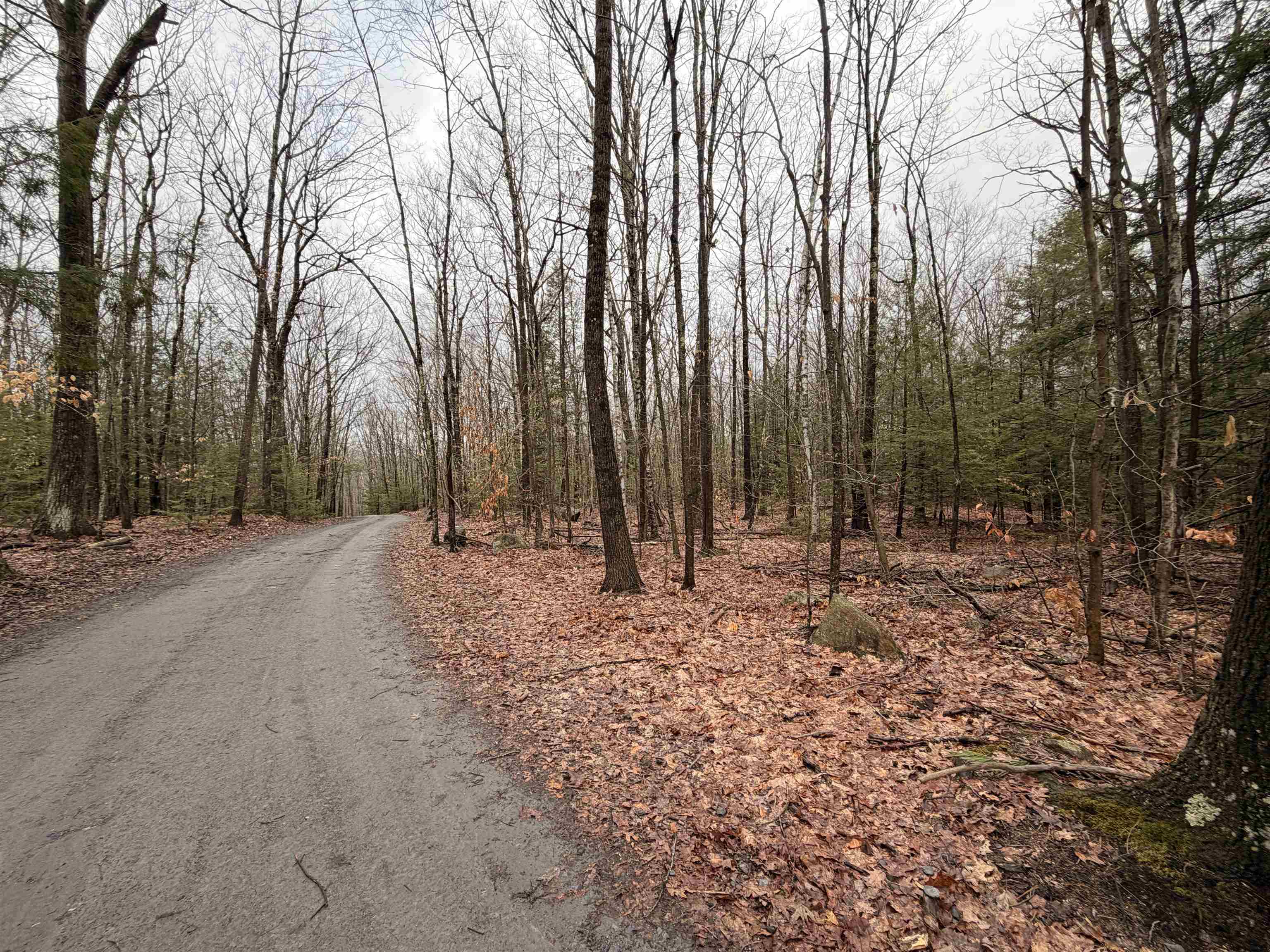 main property photo 19