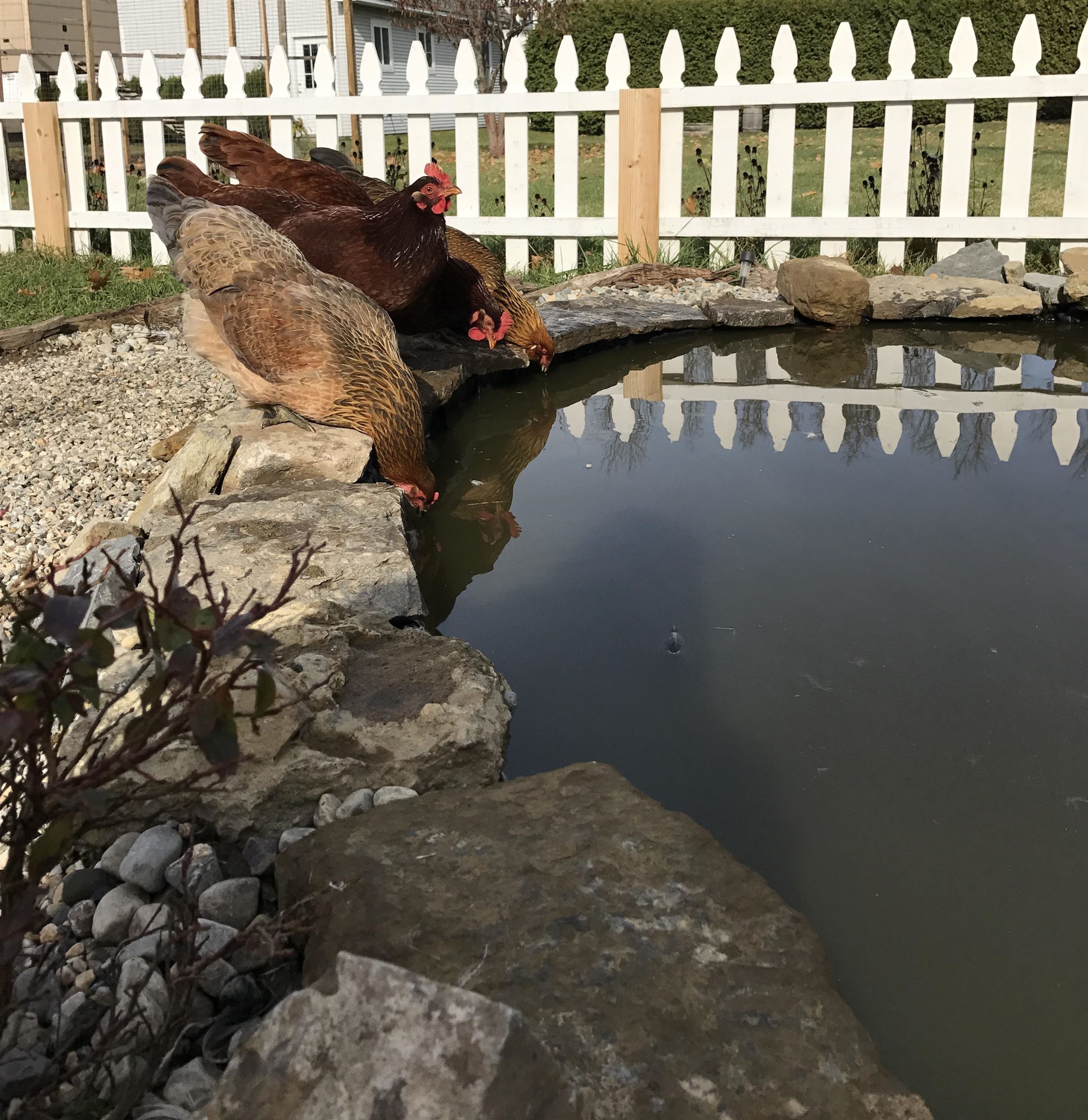 main property photo 30