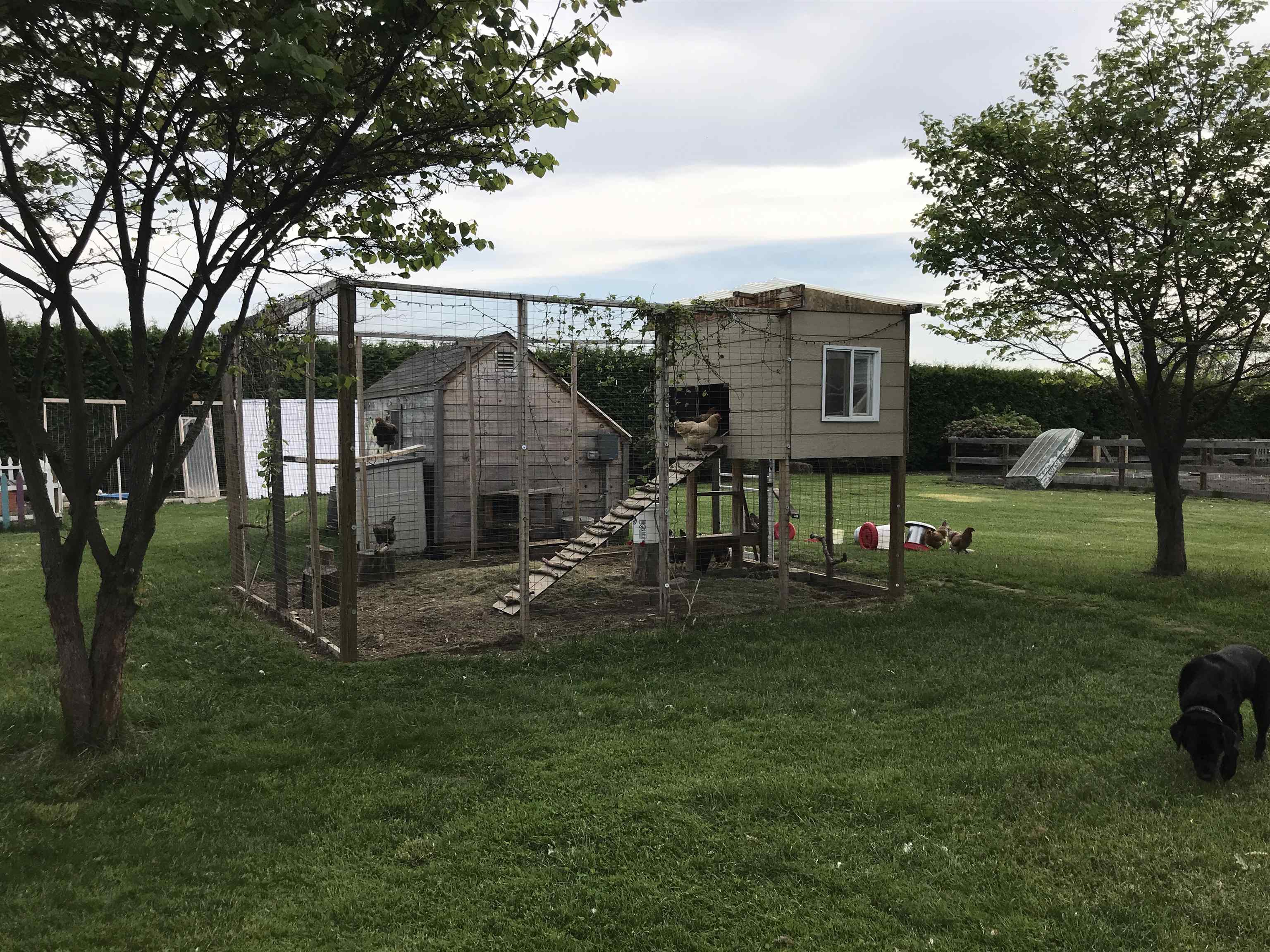 main property photo 42