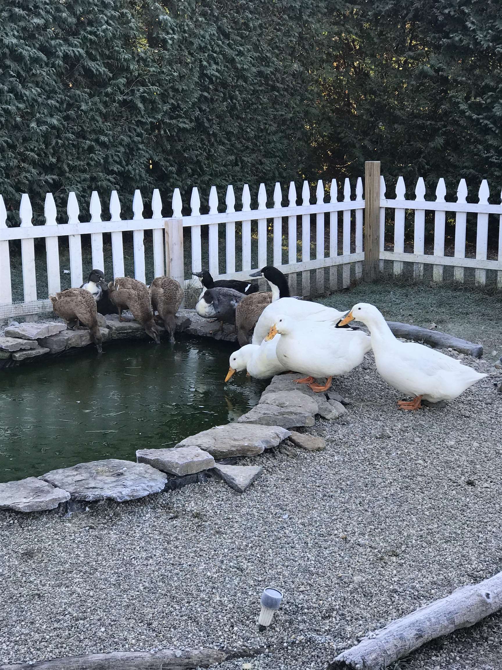 main property photo 47