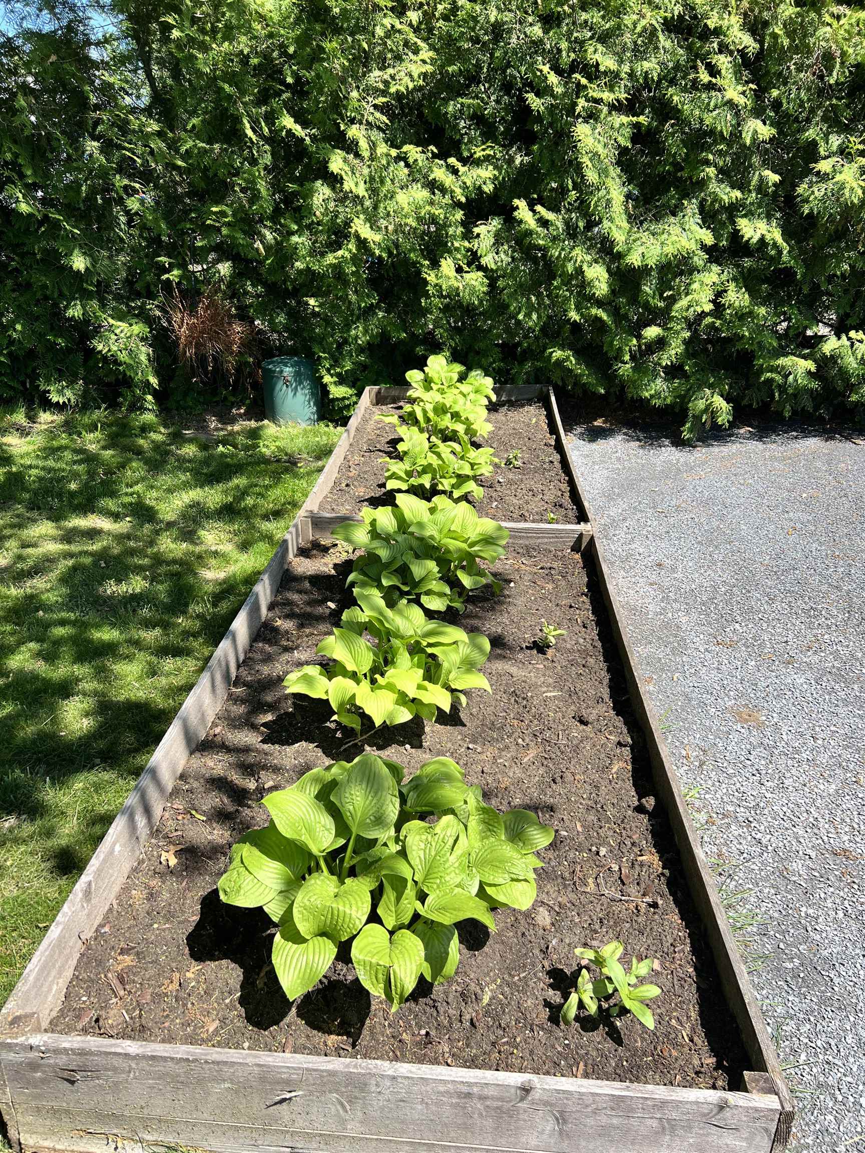 main property photo 54