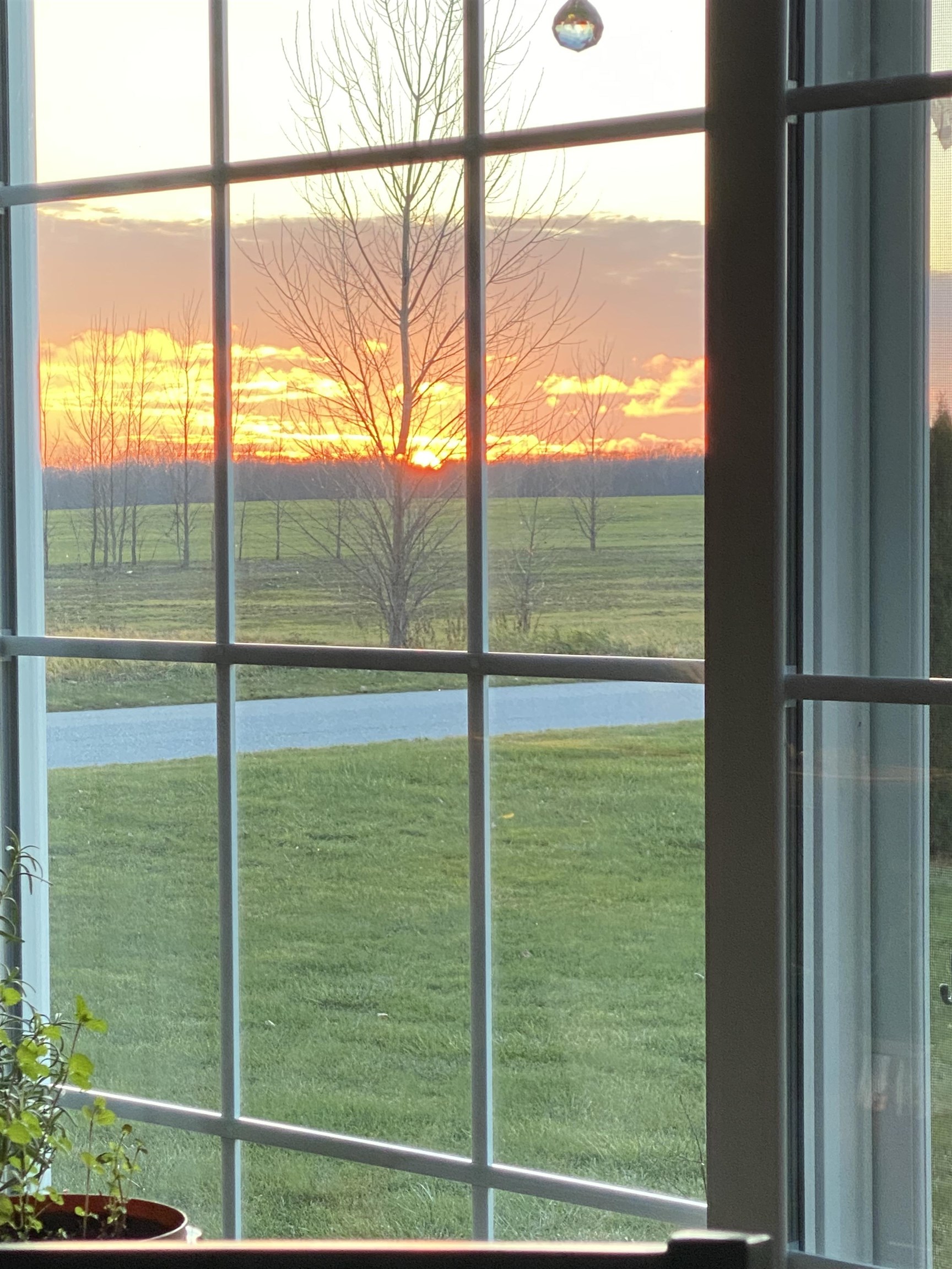 main property photo 41