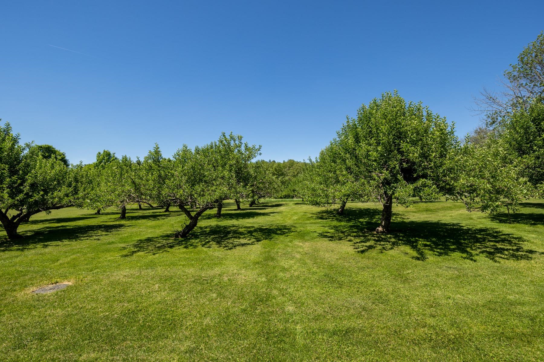 main property photo 36