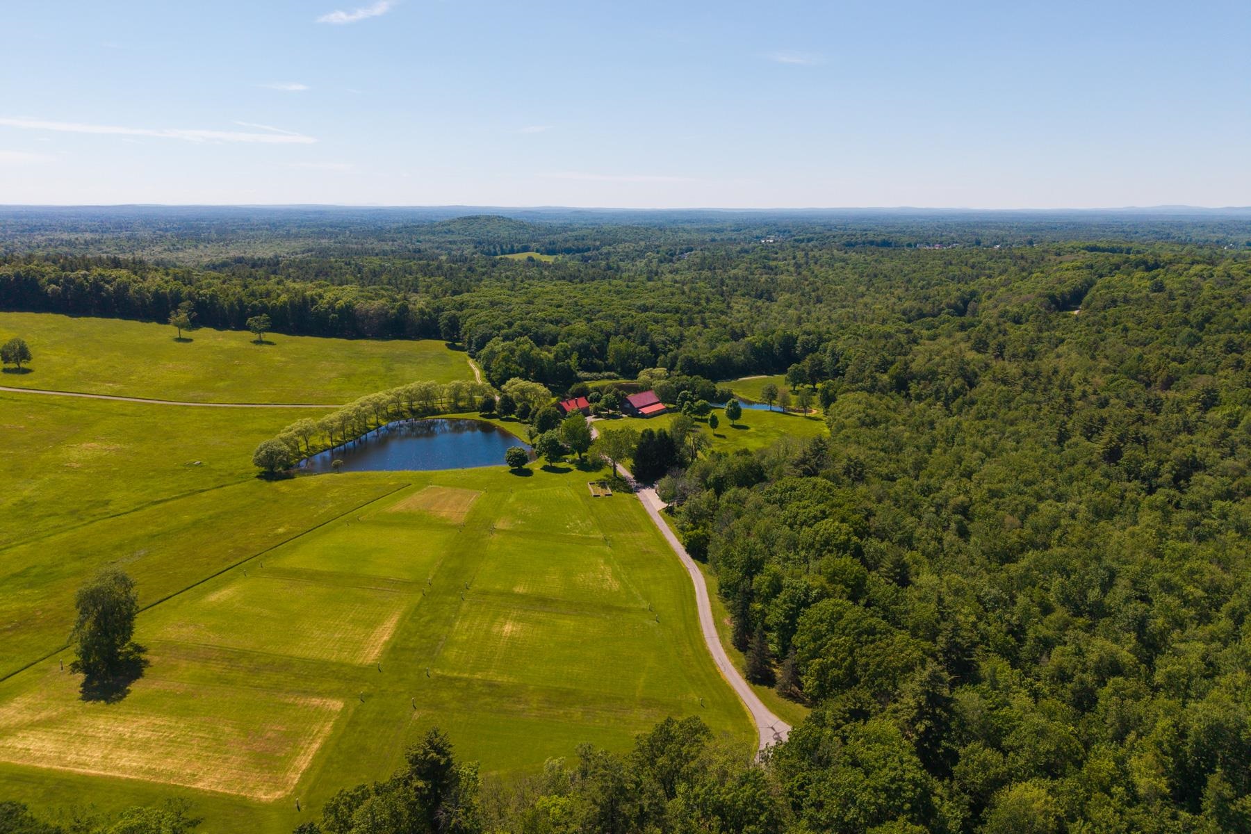 main property photo 46