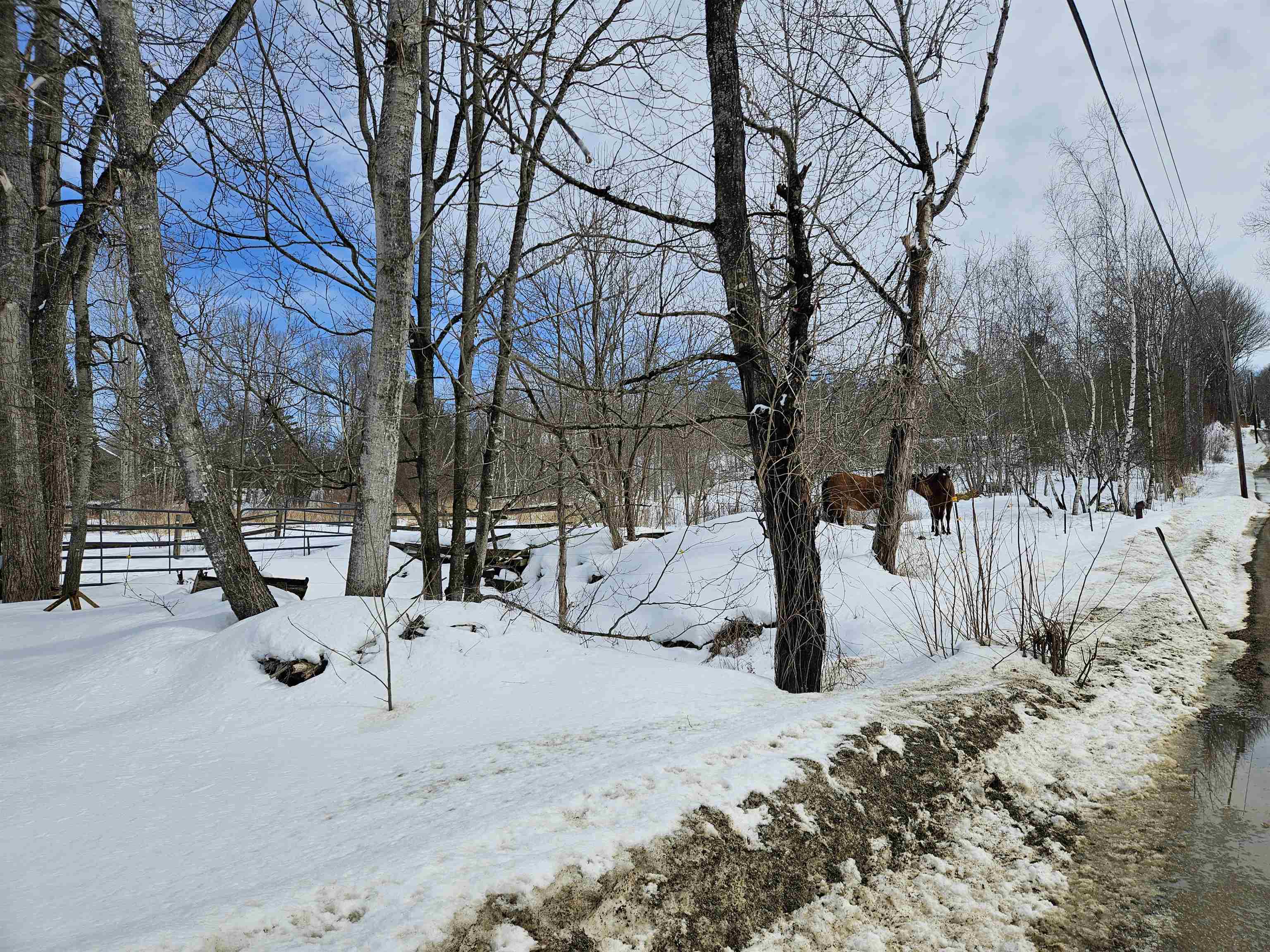 main property photo 52
