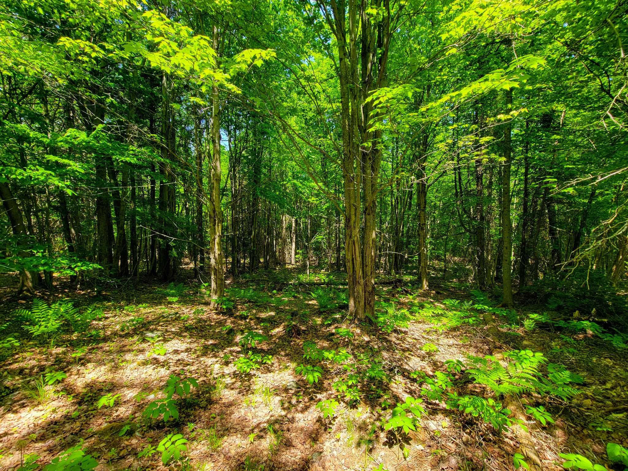 main property photo 36