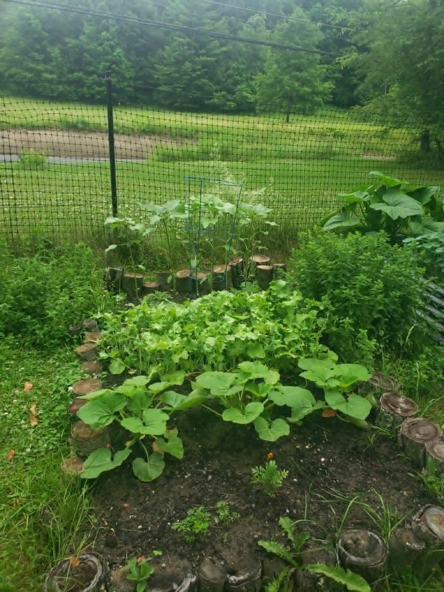main property photo 45