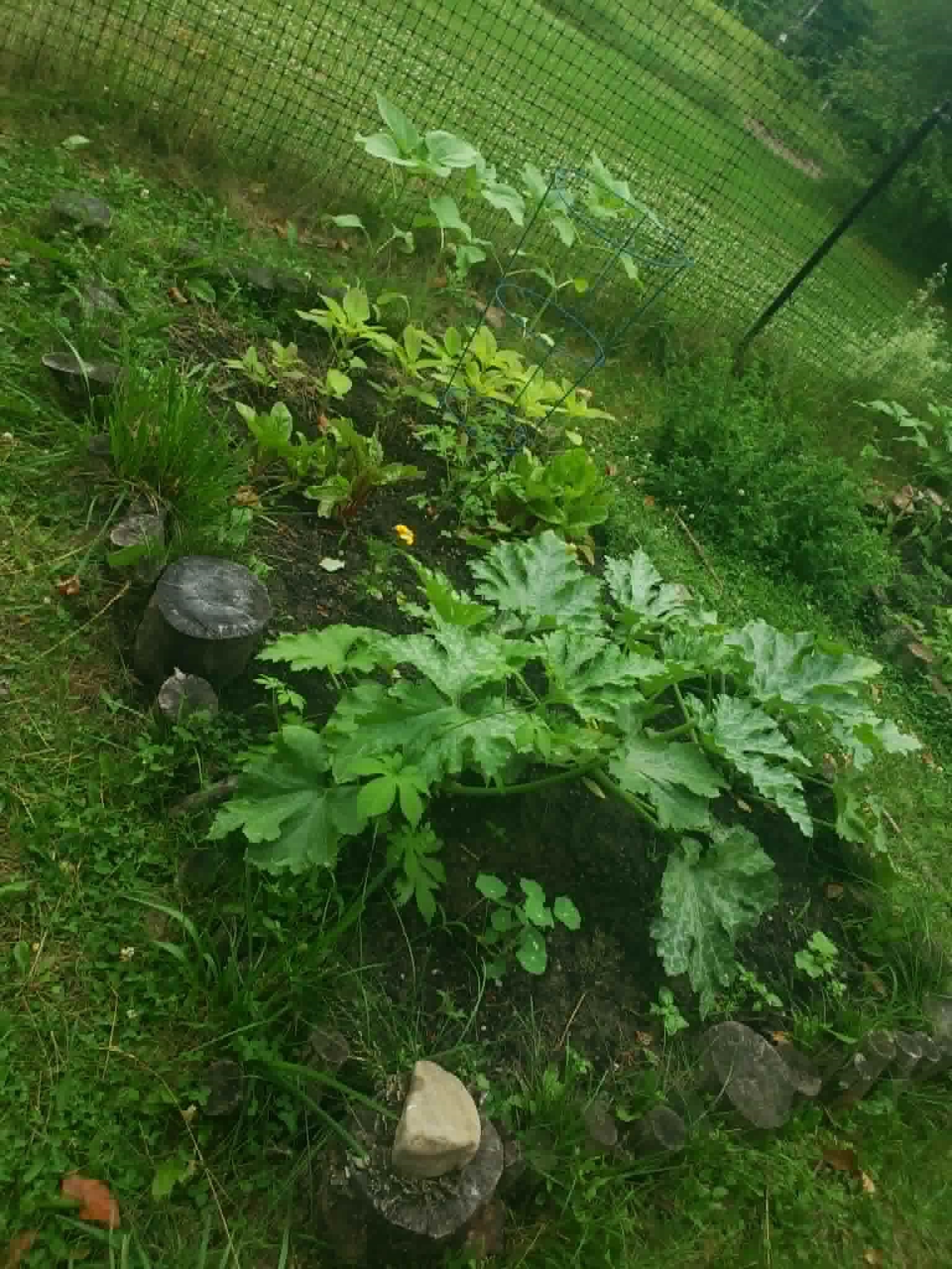 main property photo 47