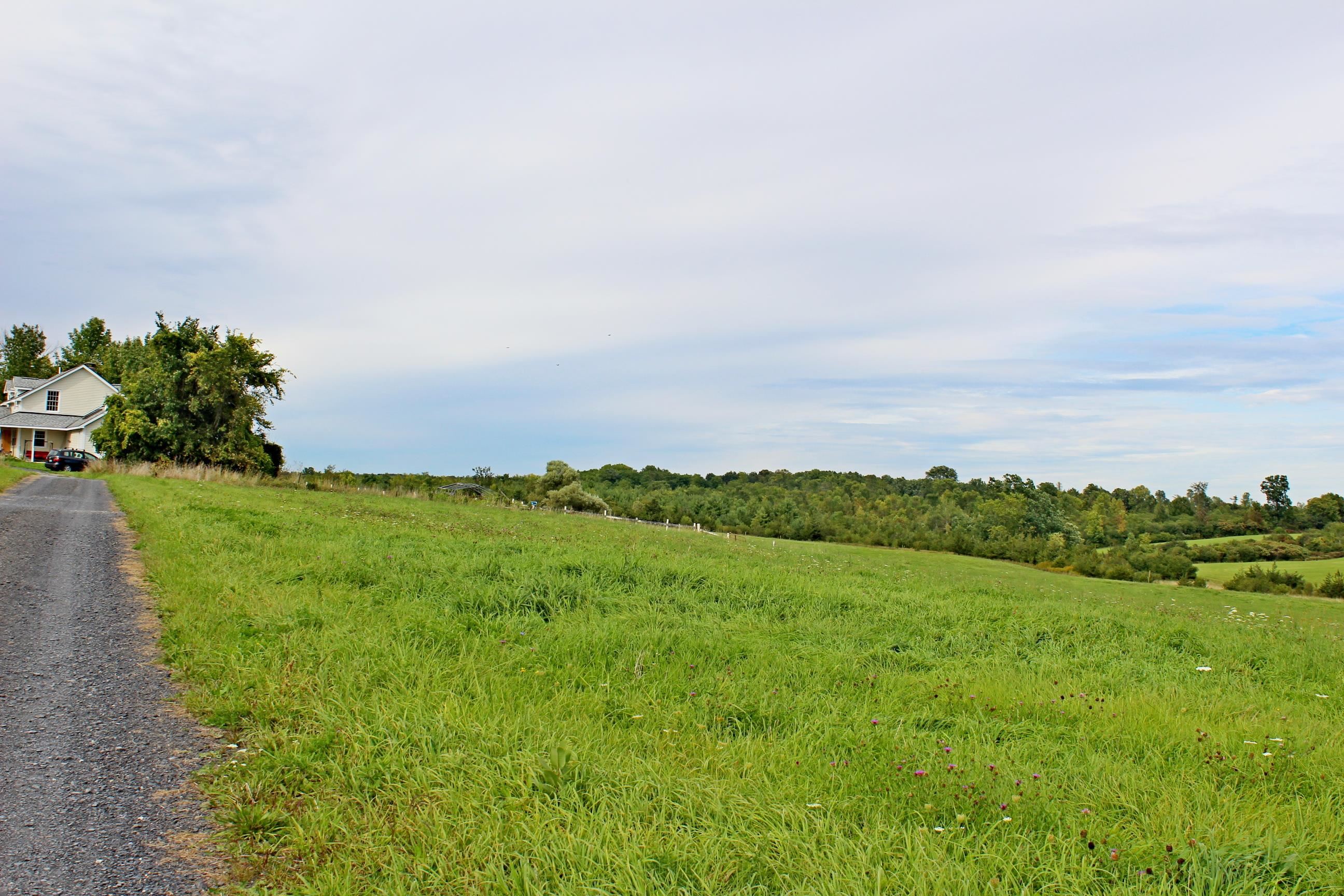 main property photo 22