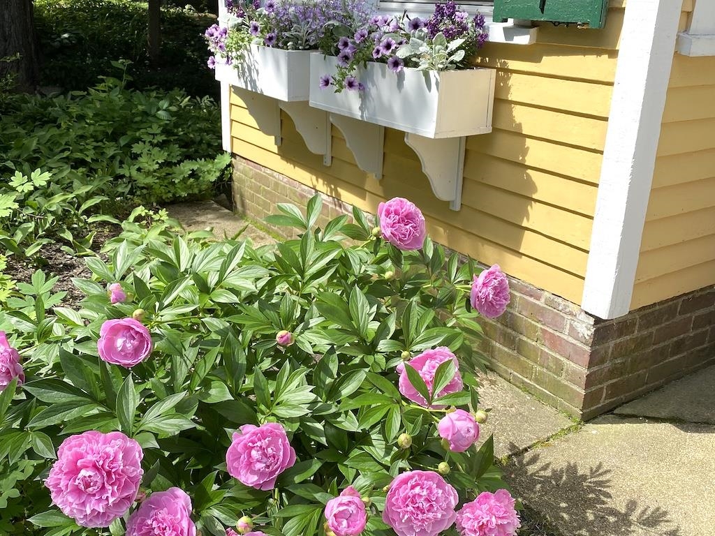 main property photo 47