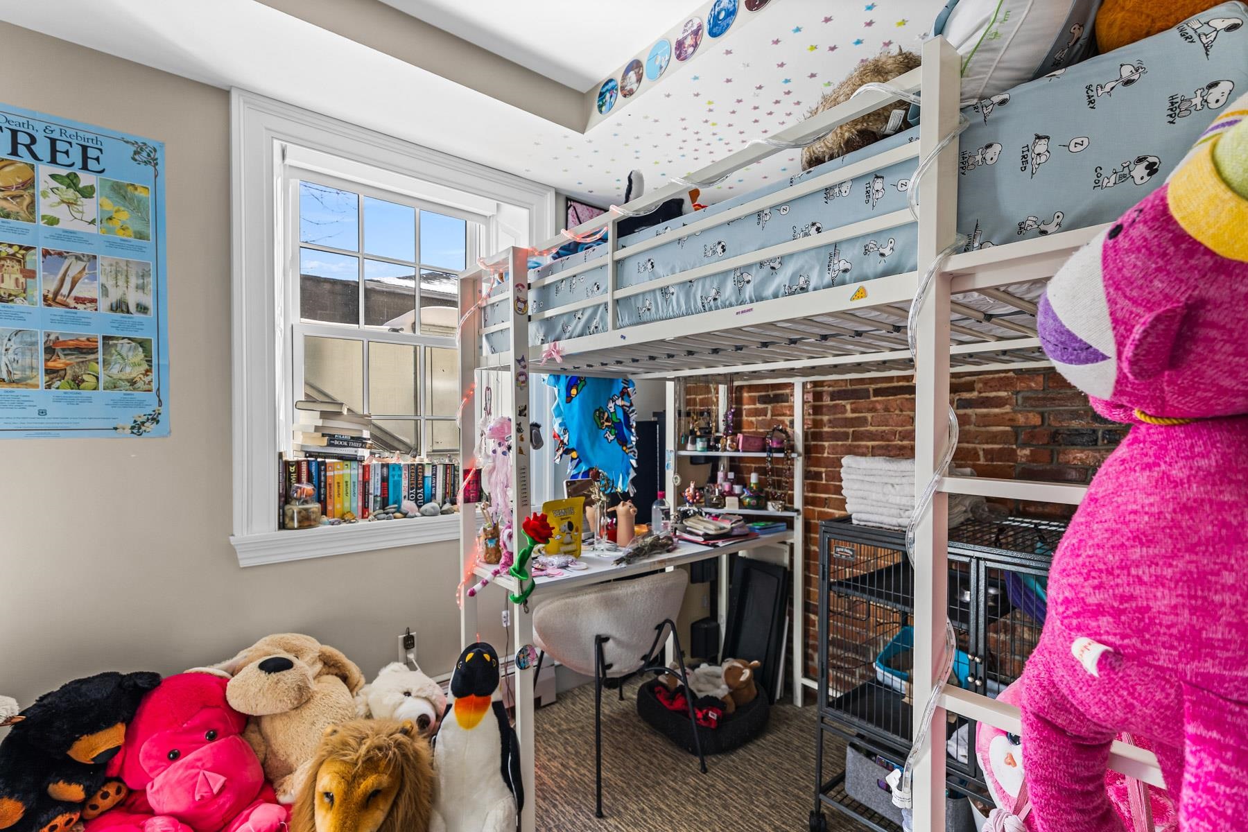 main property photo 12