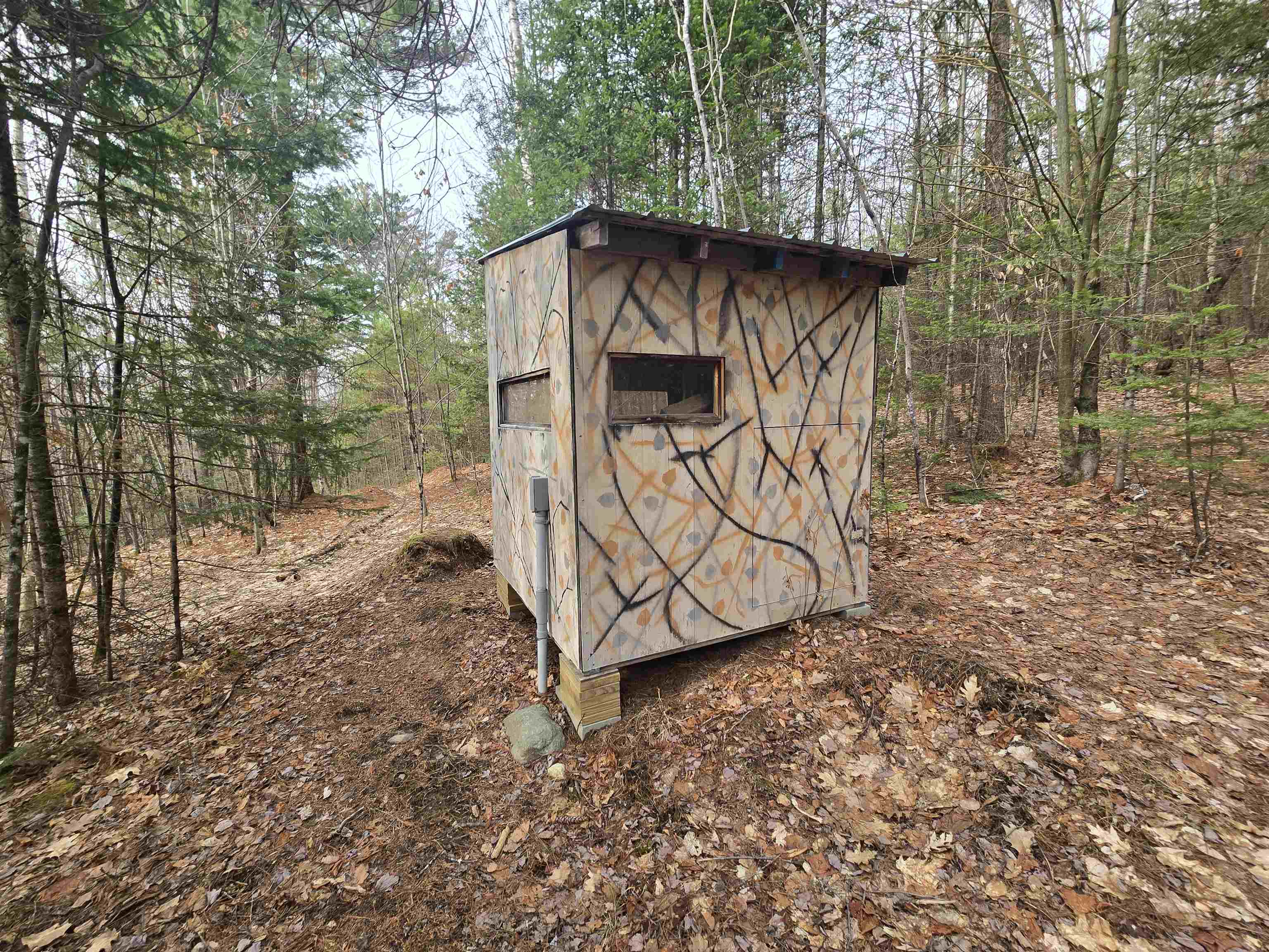 main property photo 6