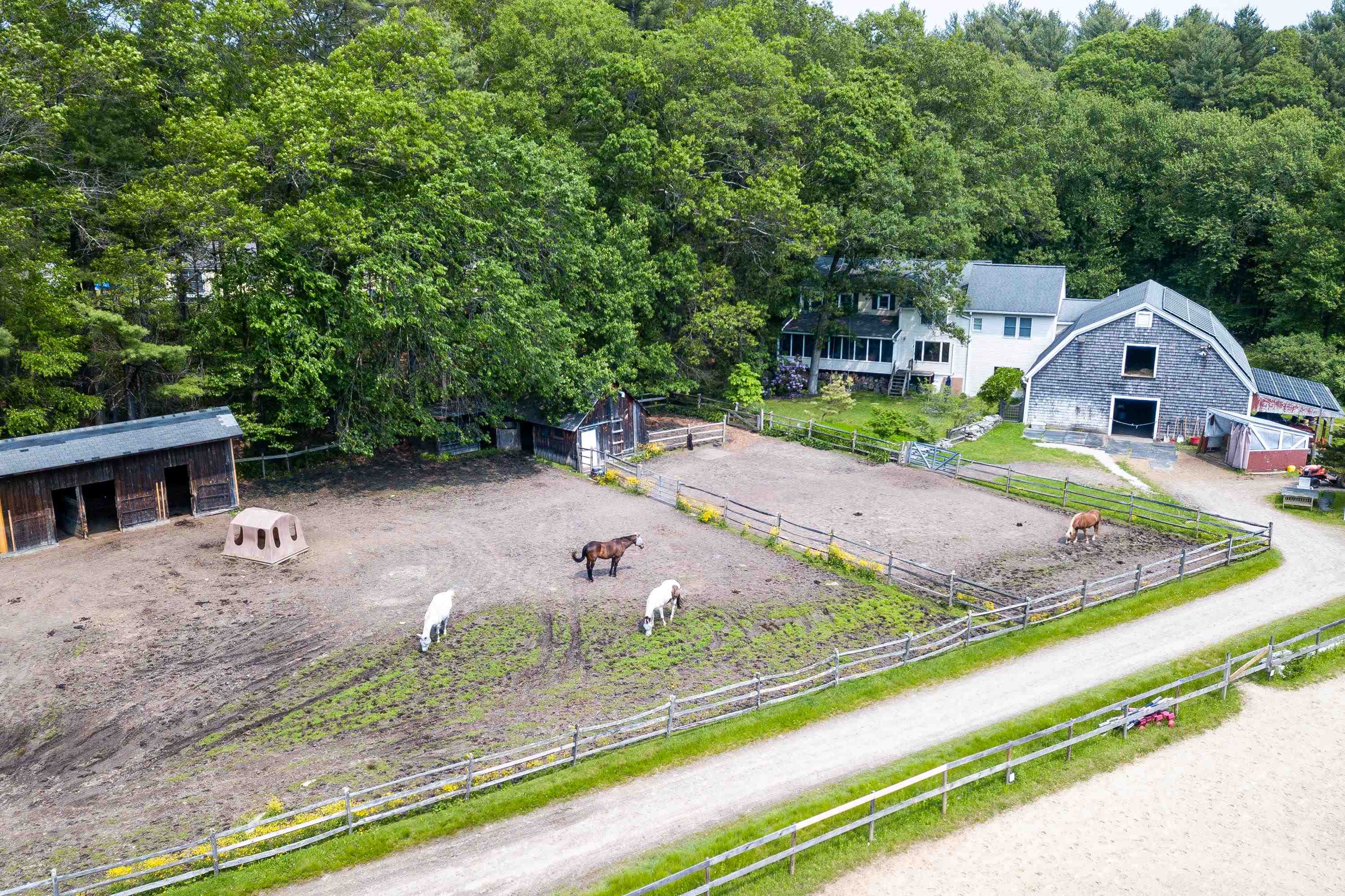 main property photo 34