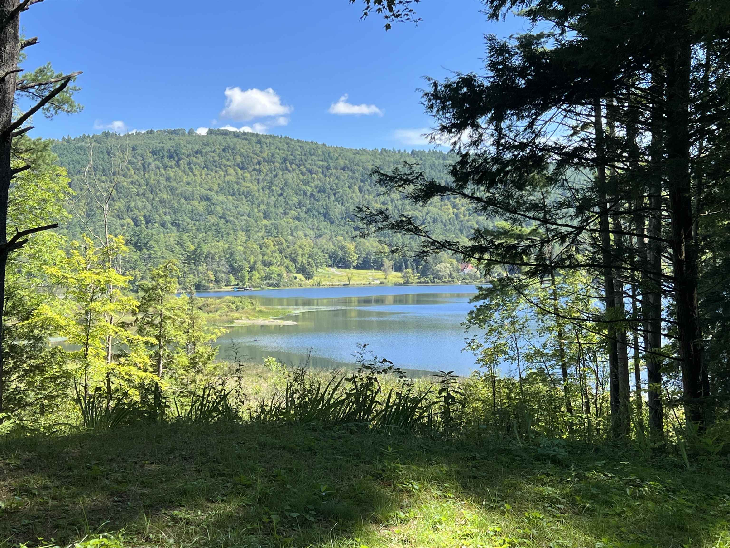 main property photo 32