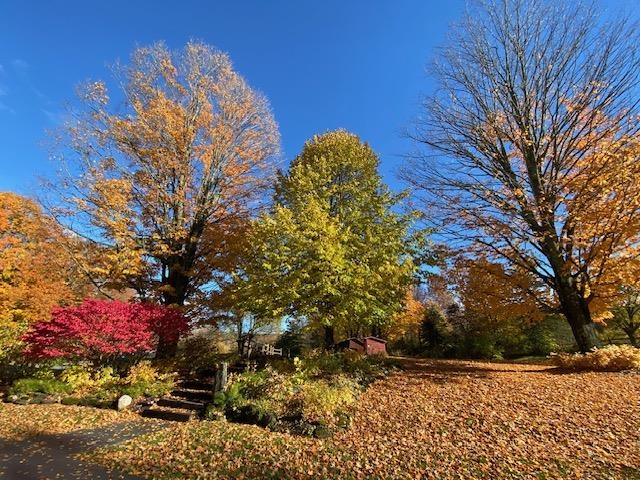 main property photo 39