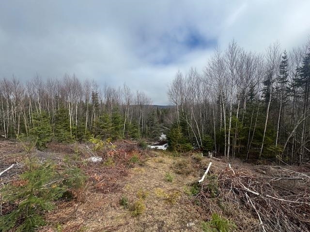 main property photo 38