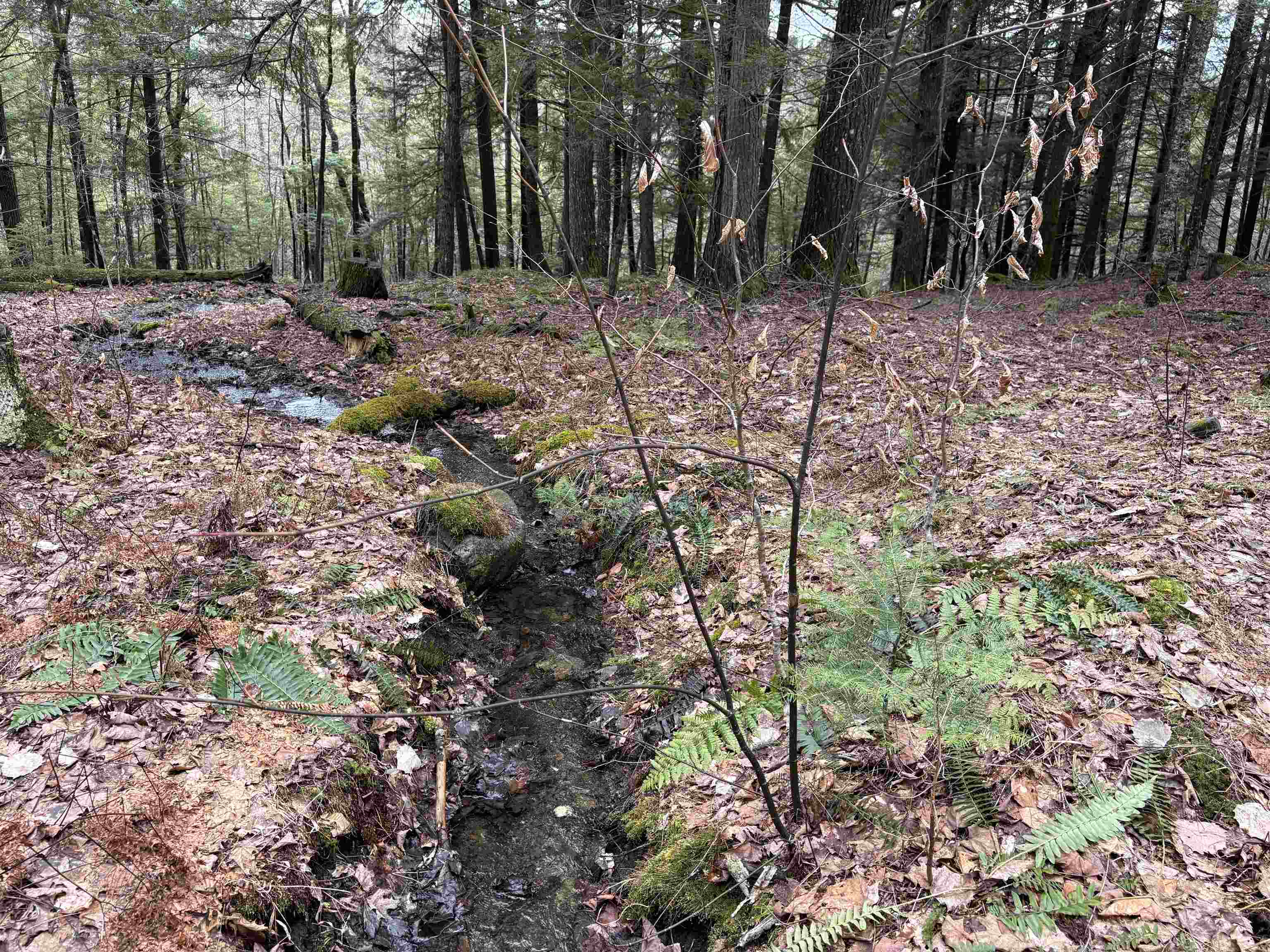 main property photo 58