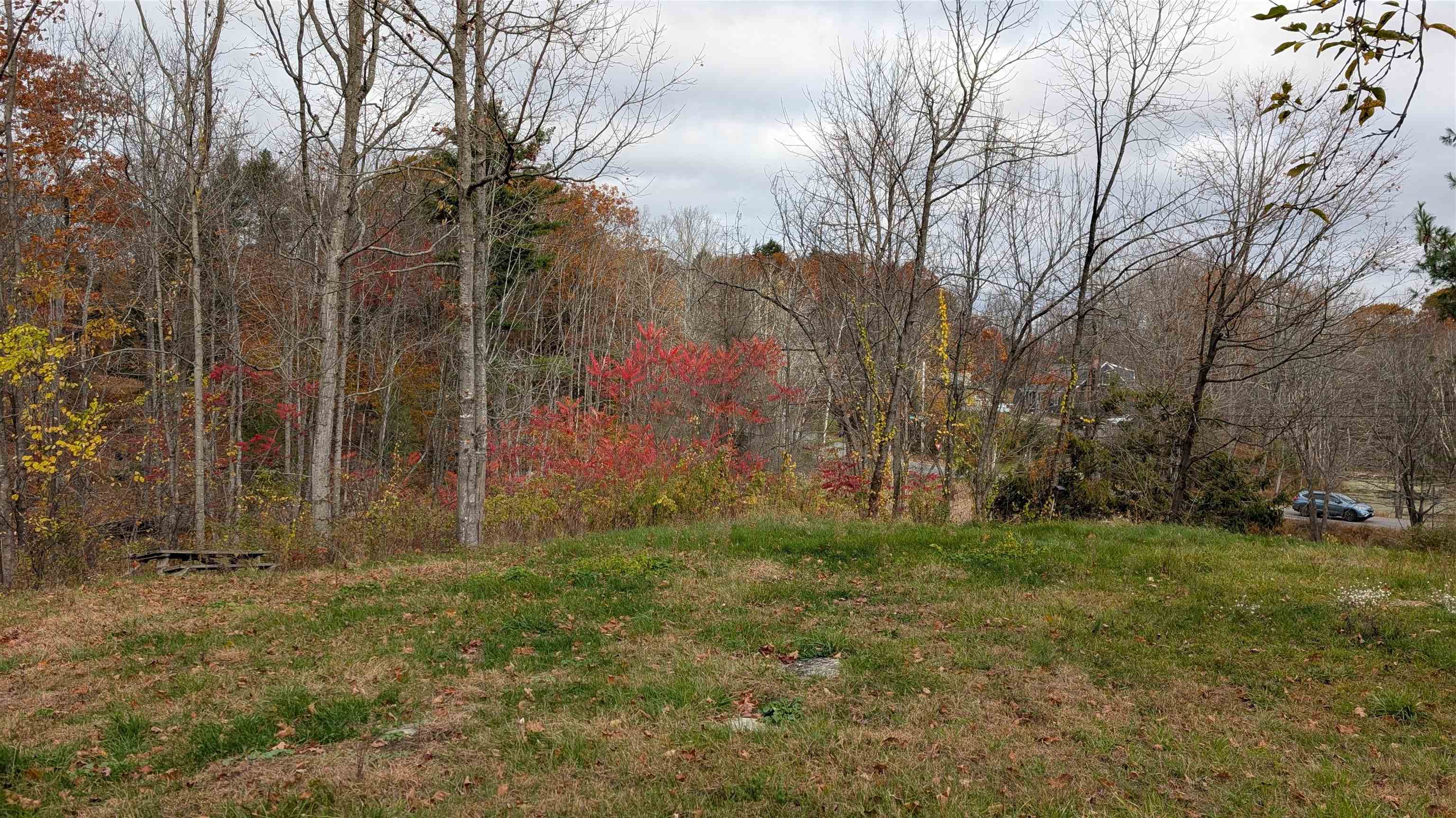 main property photo 39