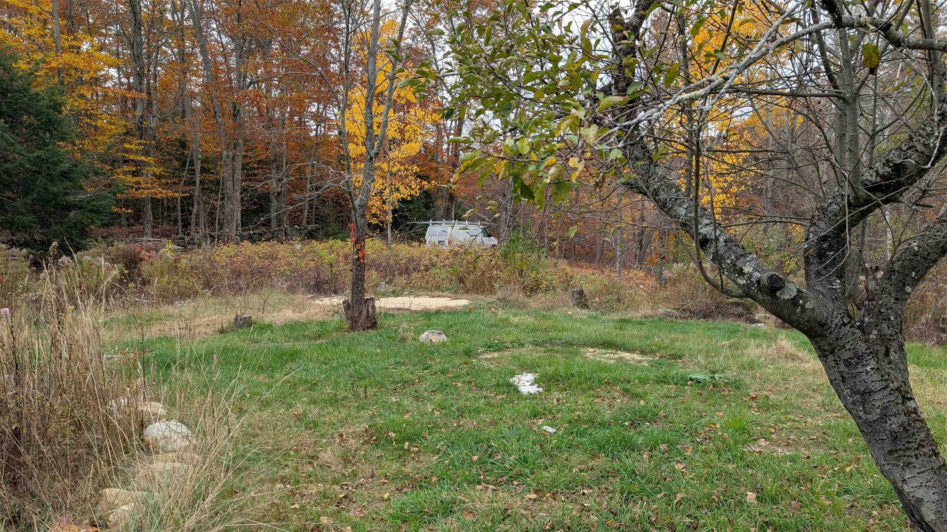 main property photo 41