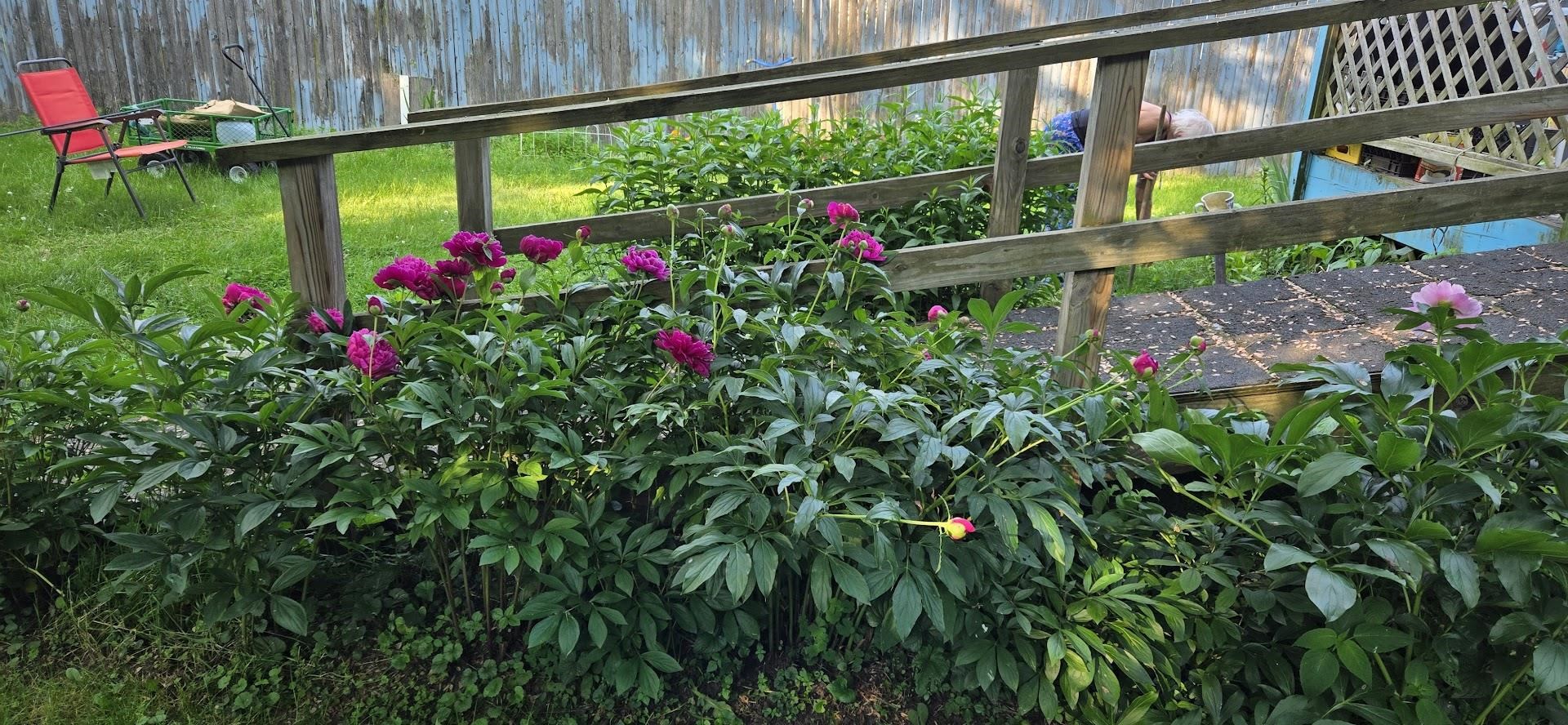 main property photo 27