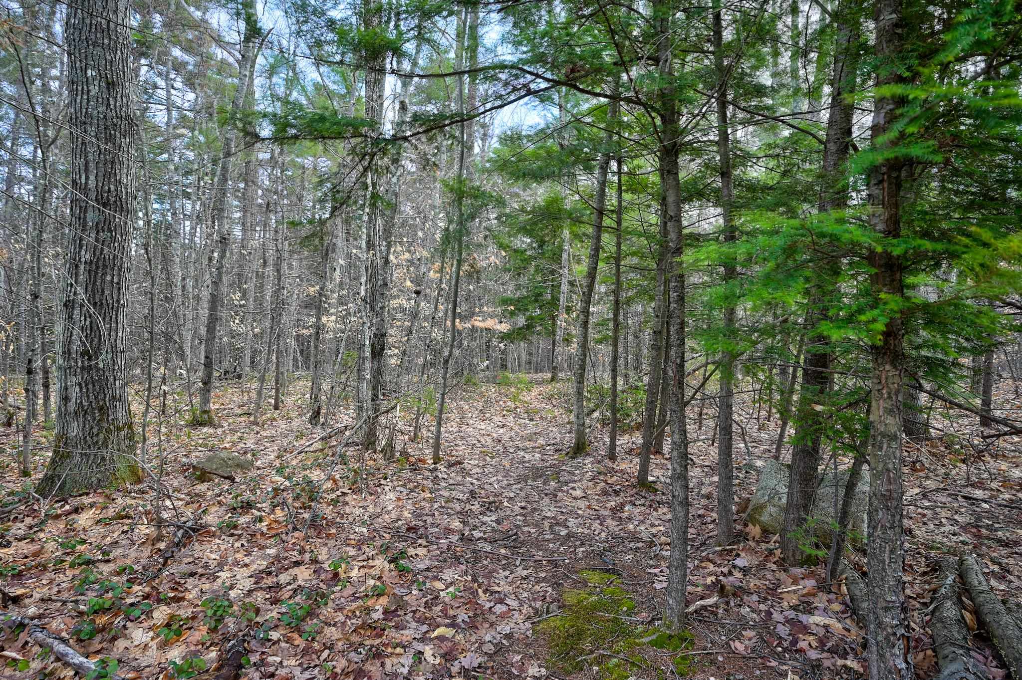main property photo 47