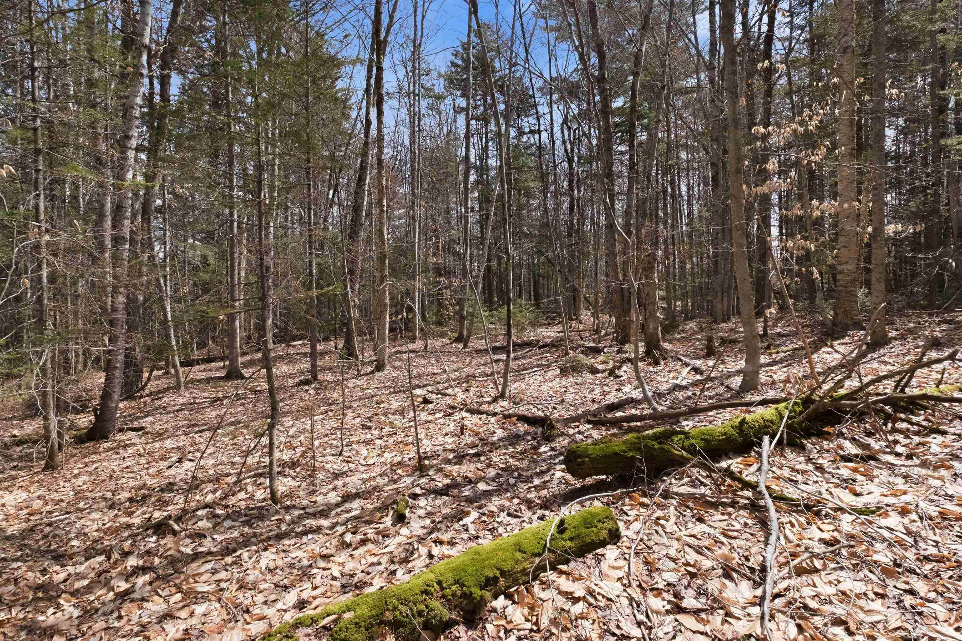 main property photo 14