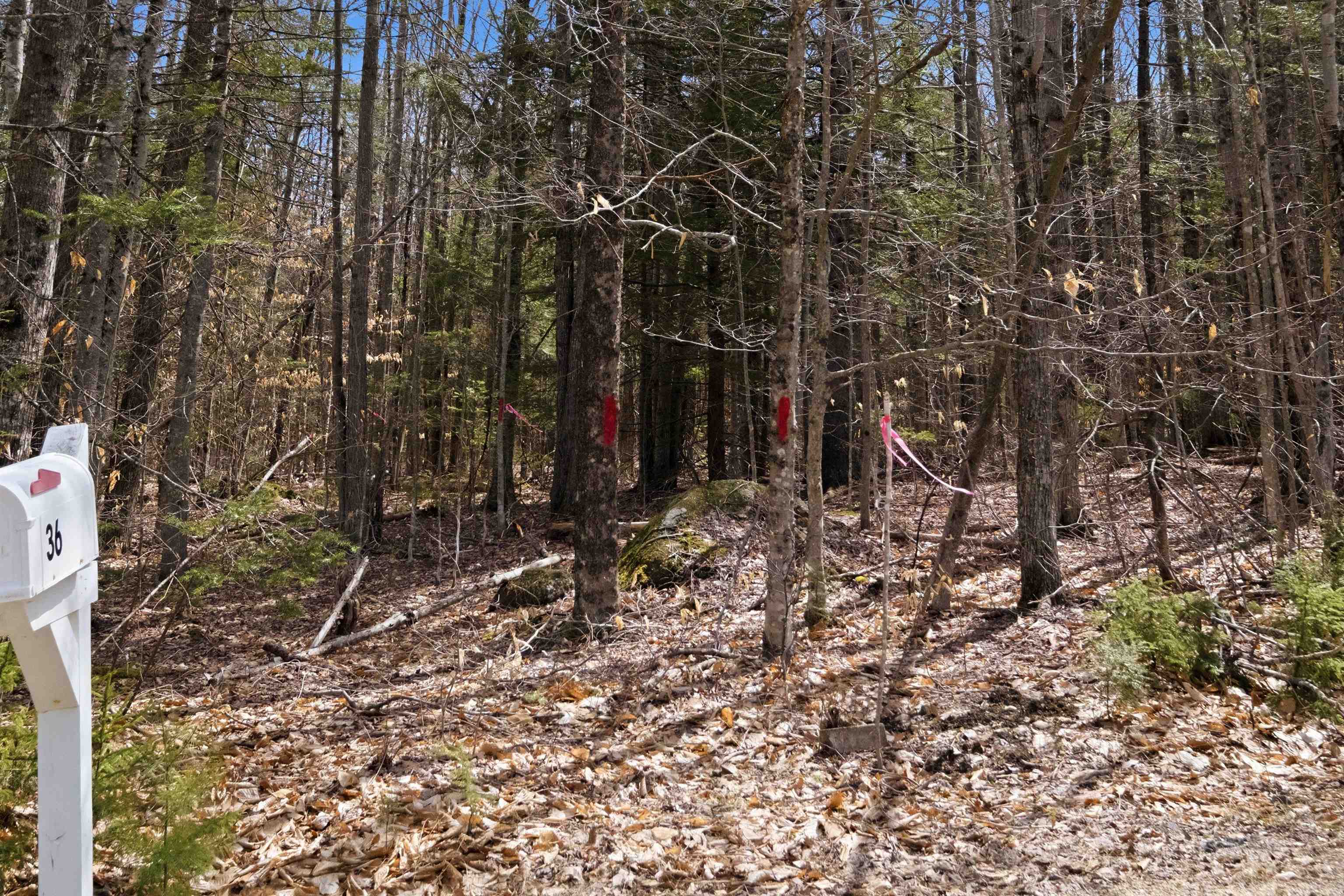 main property photo 16