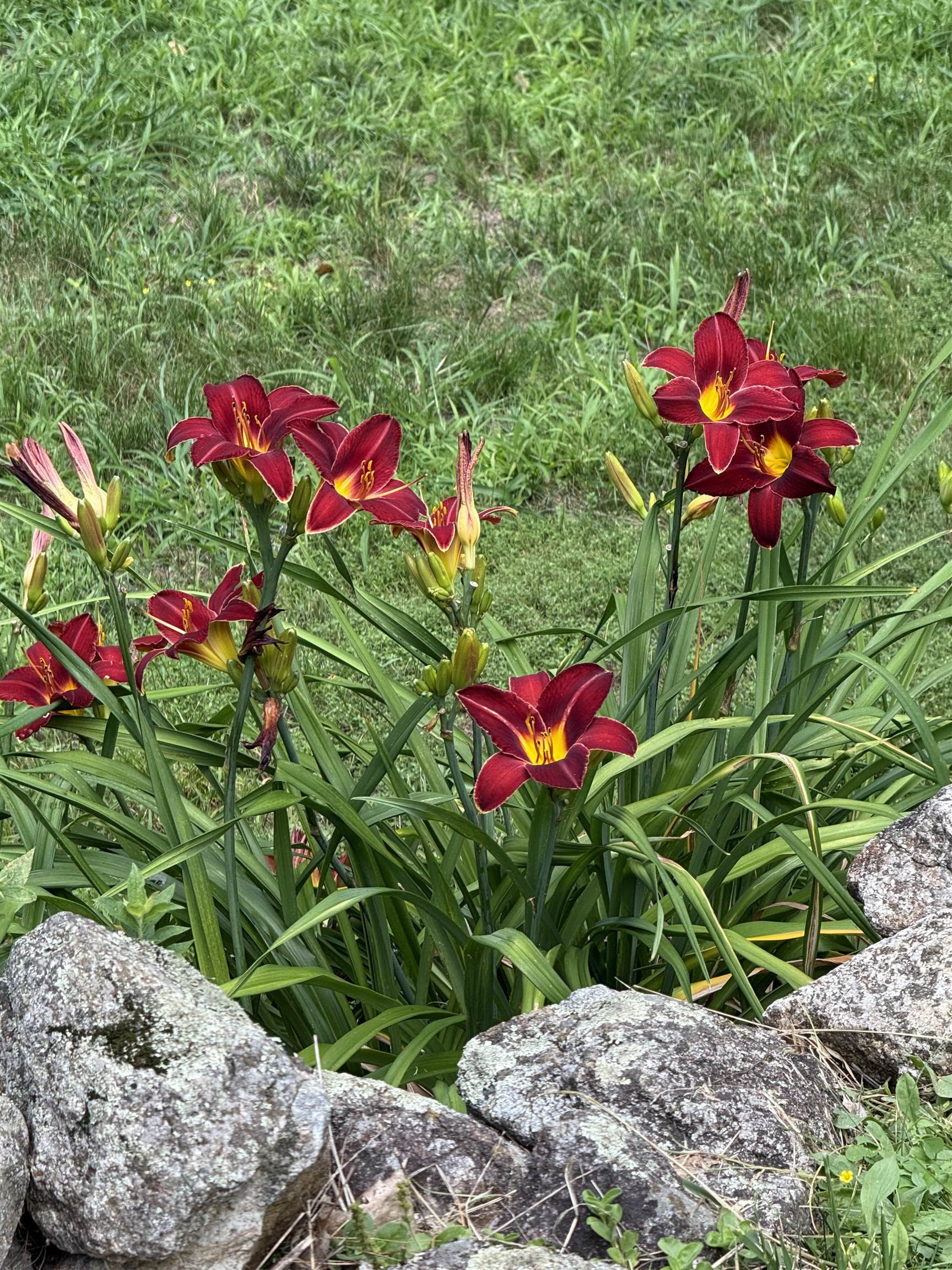main property photo 59