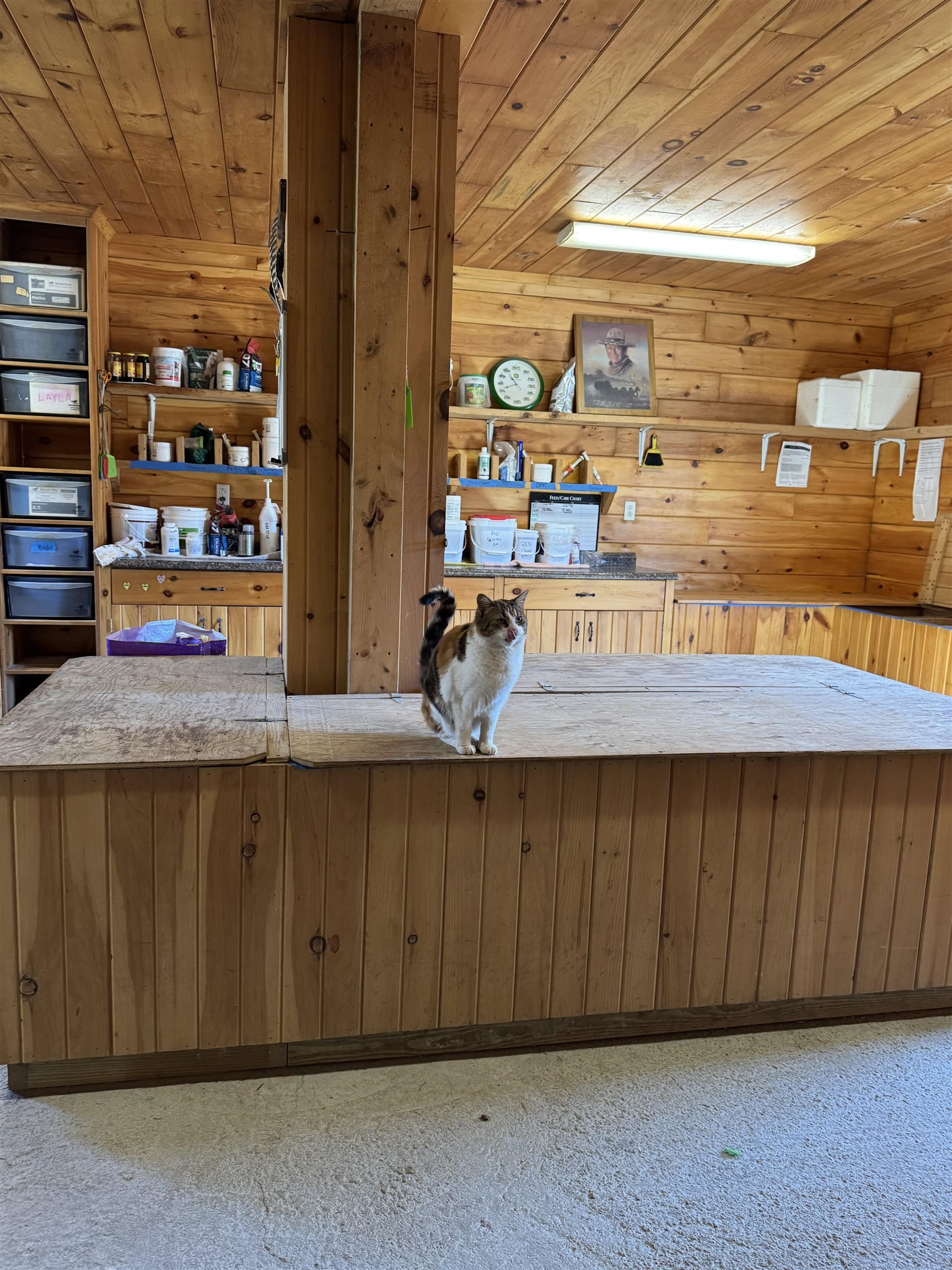 main property photo 14