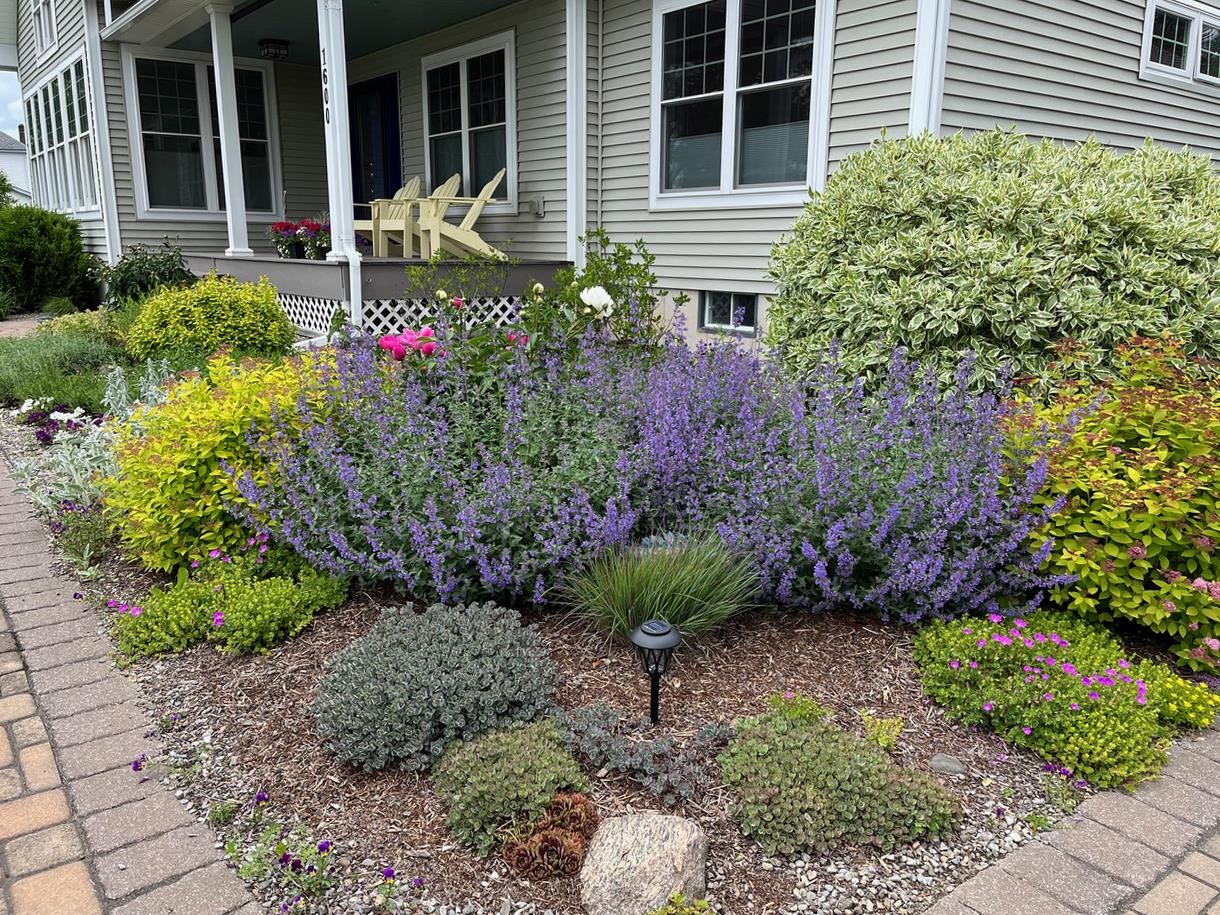 main property photo 49
