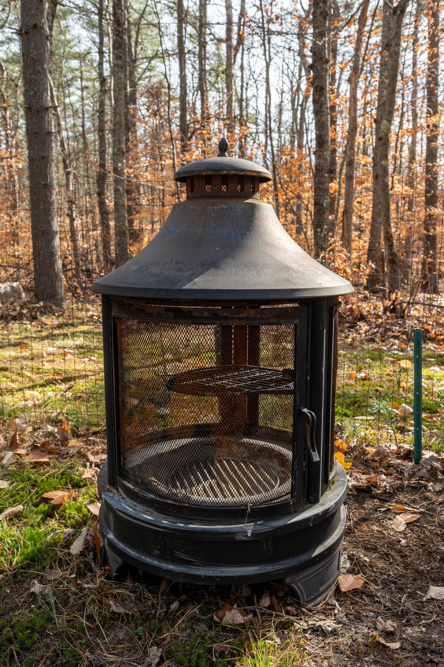 main property photo 32
