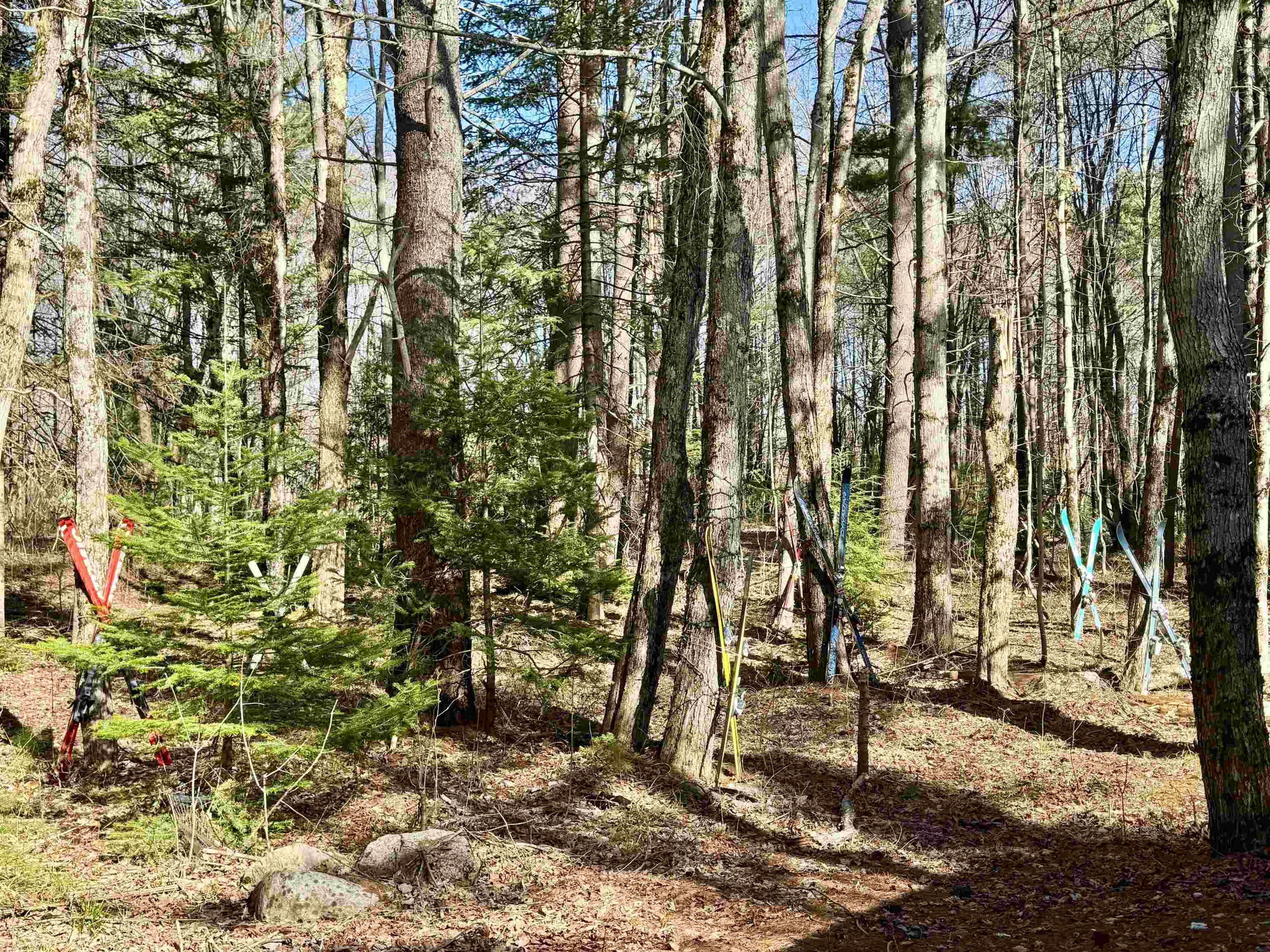 main property photo 36