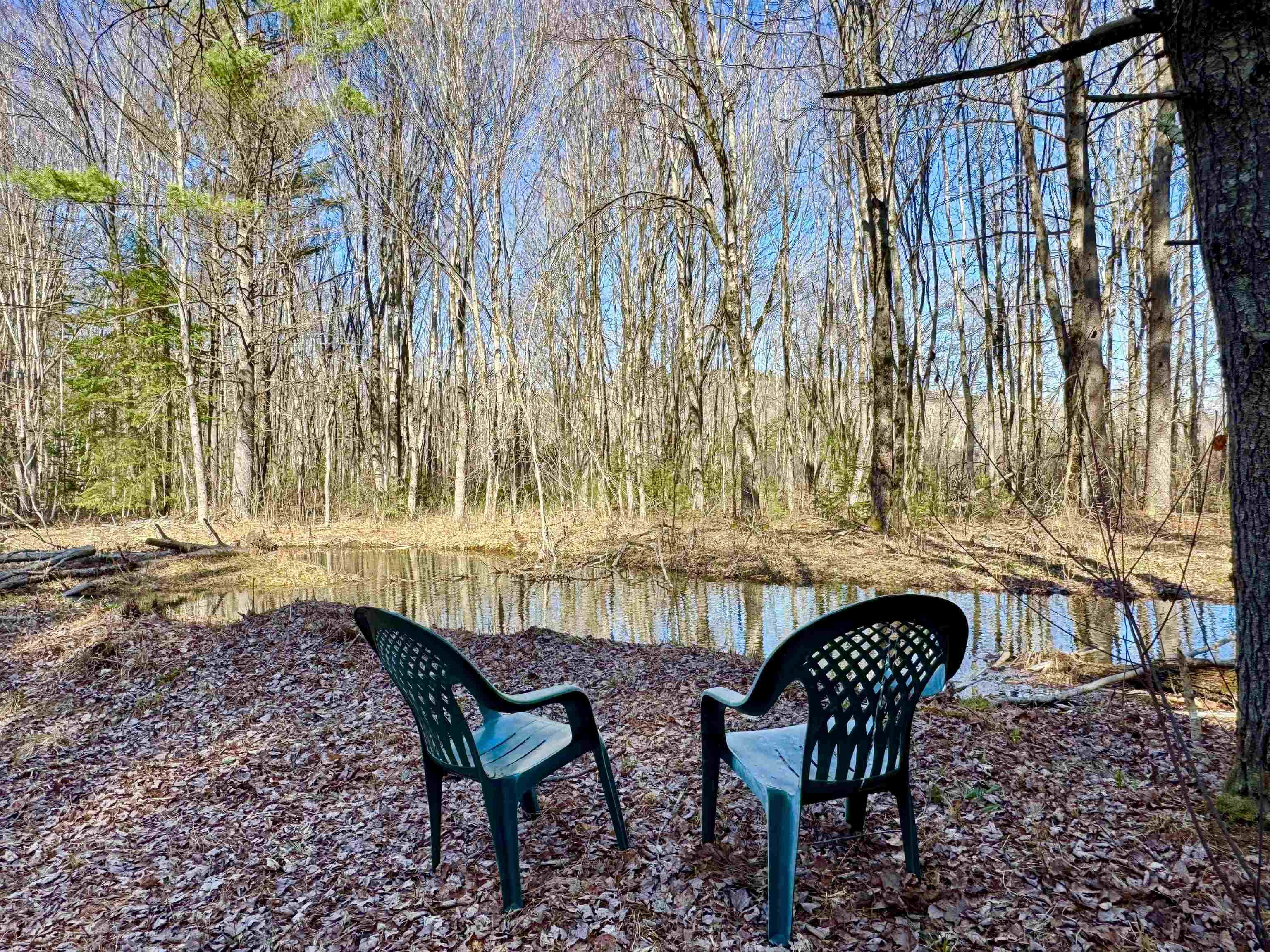 main property photo 39