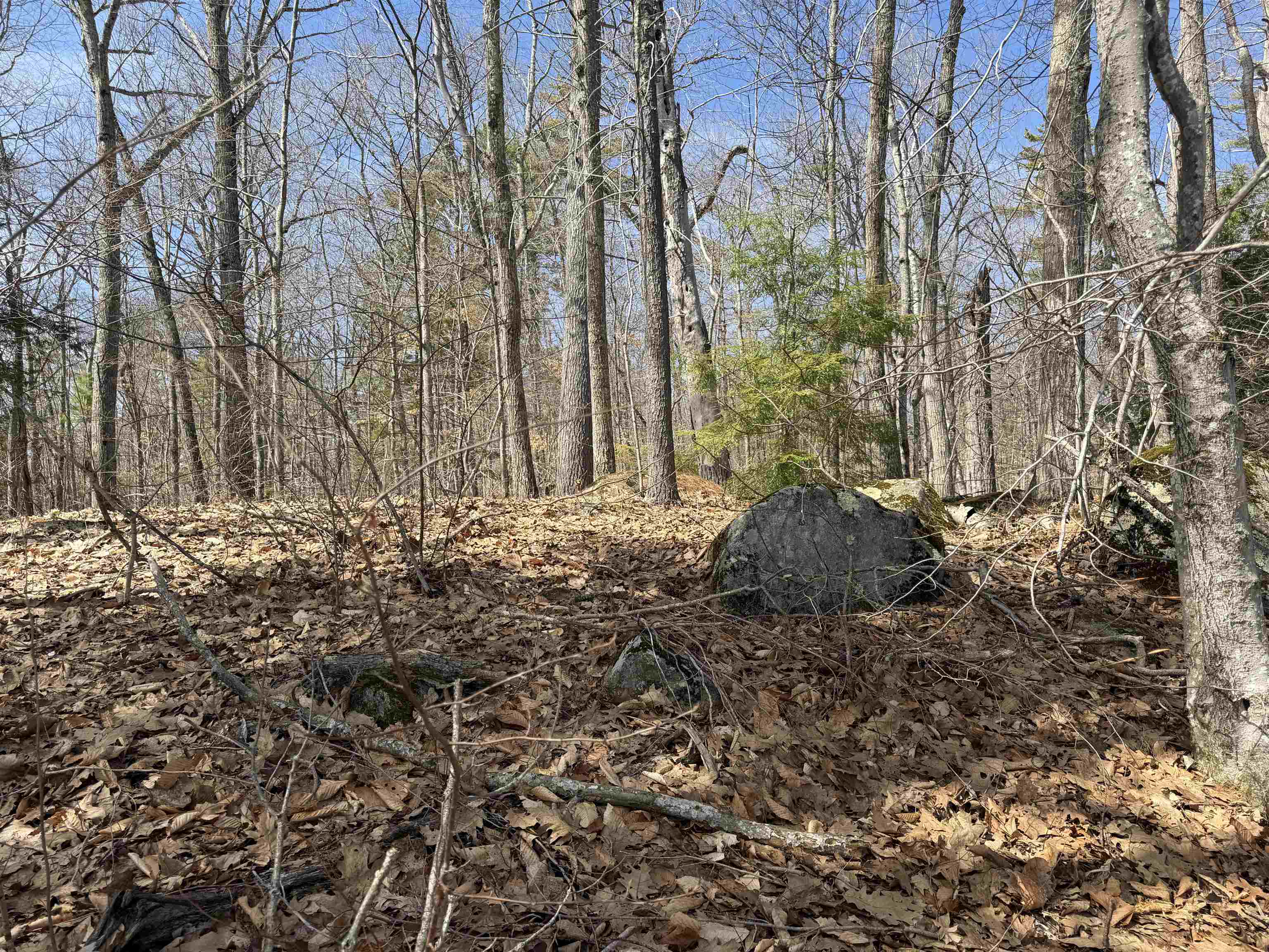 main property photo 19